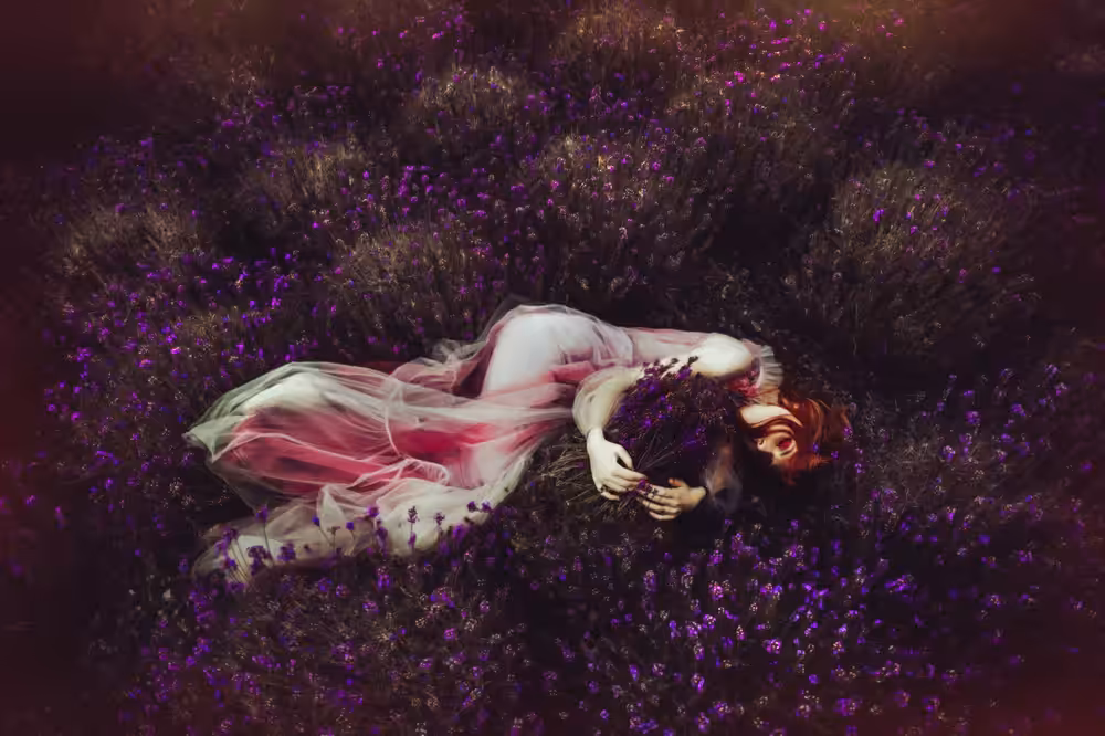 Lavender Dream