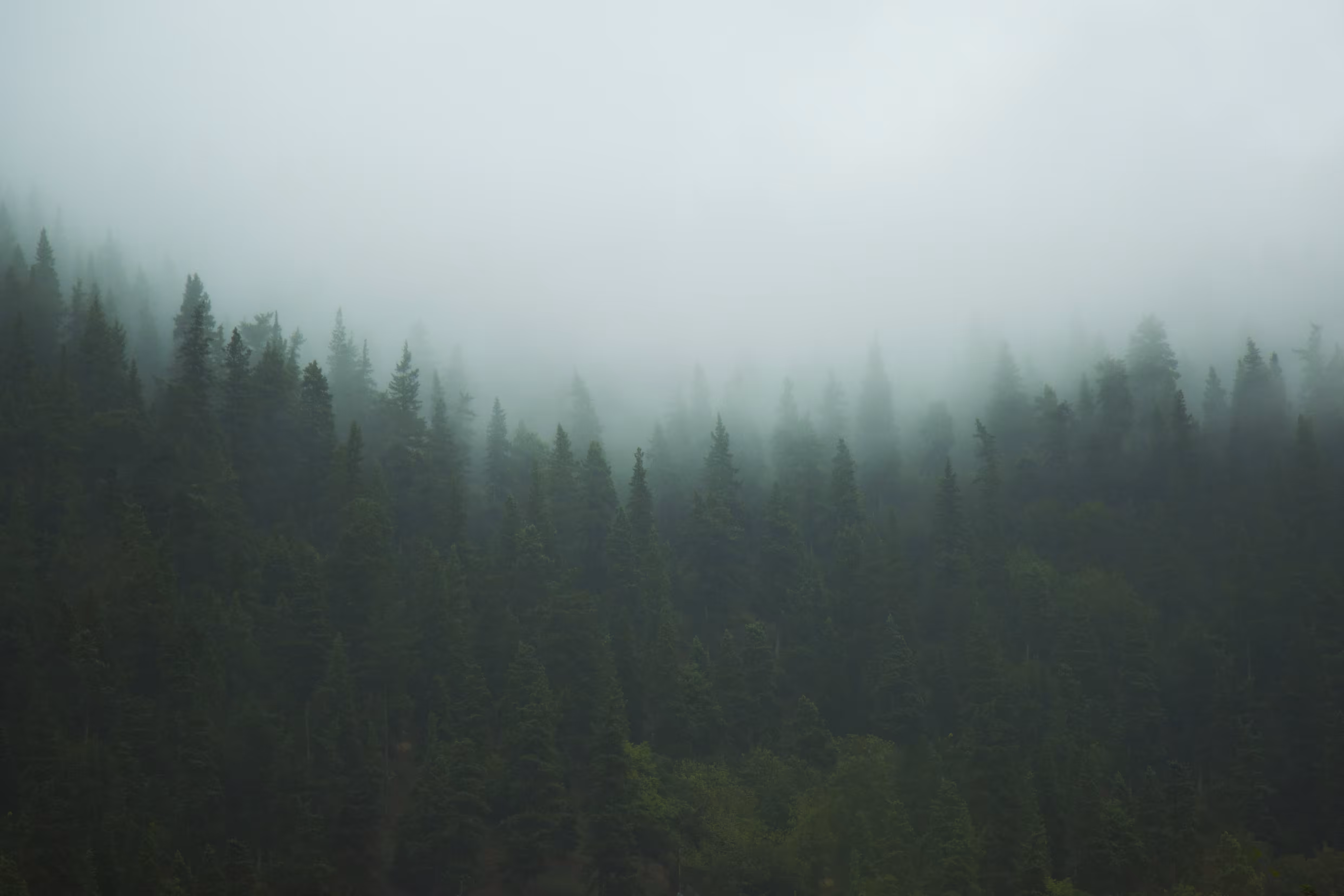 Green Trees