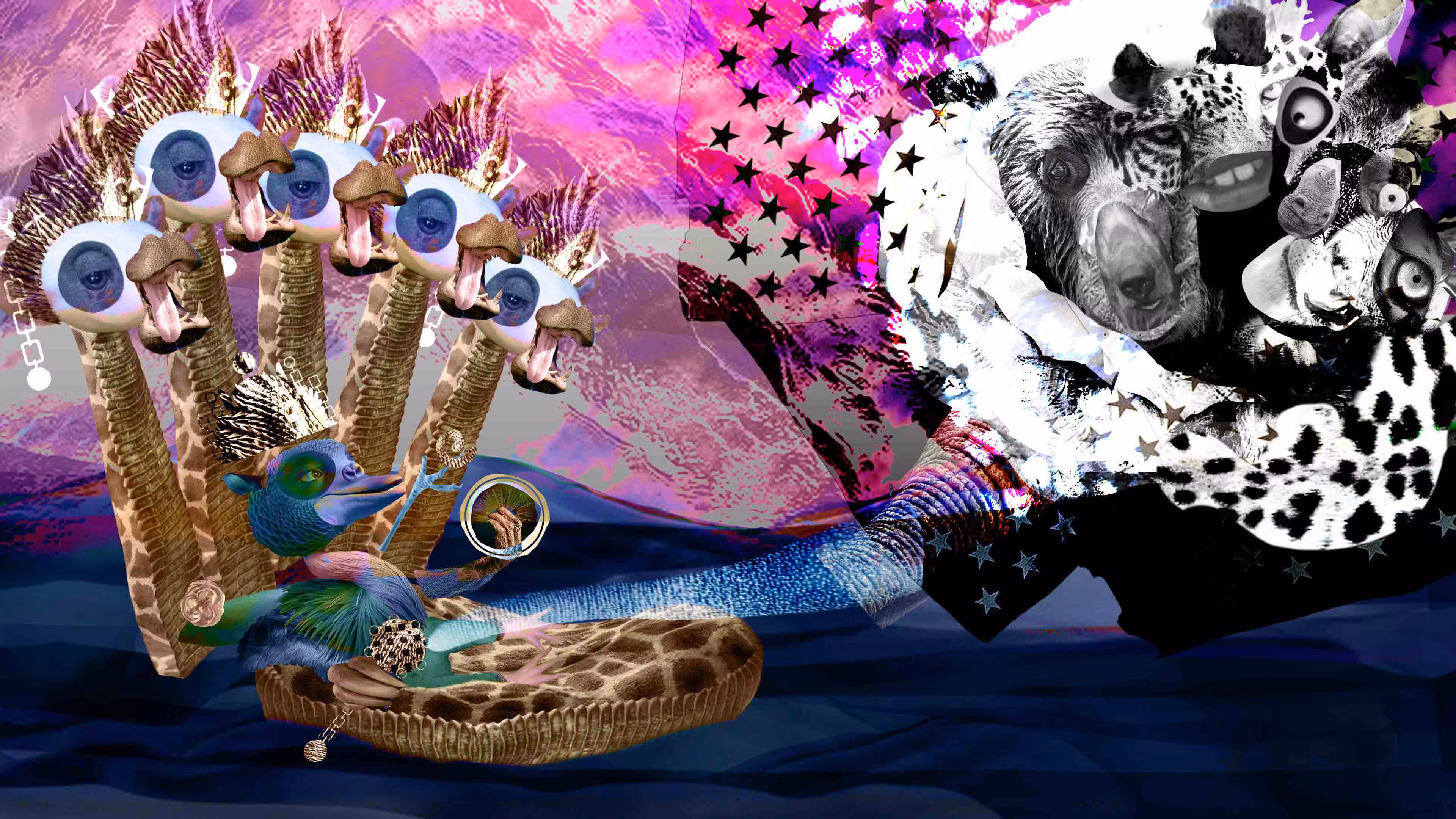 Polymorphic Entity