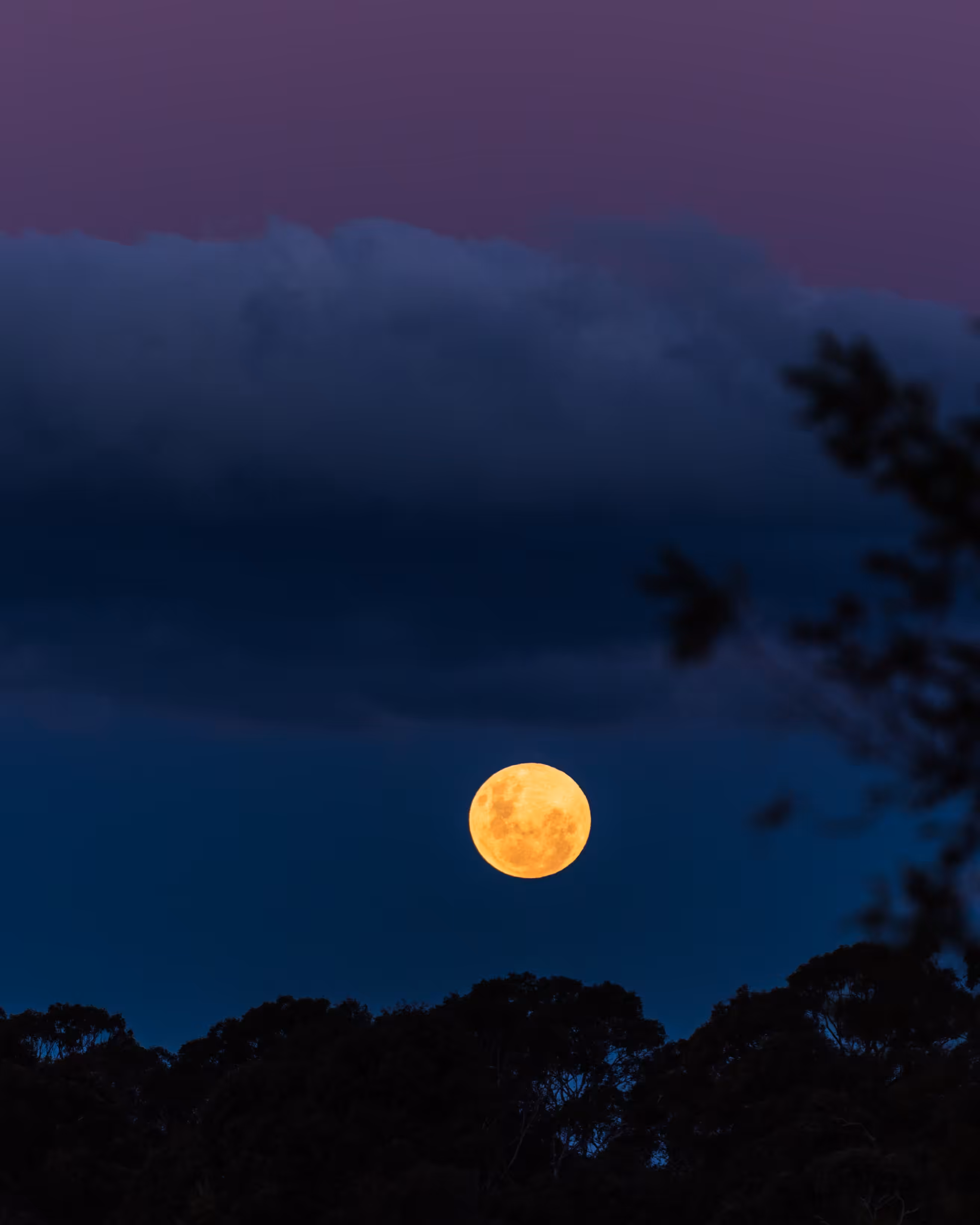 Super Flower Moon