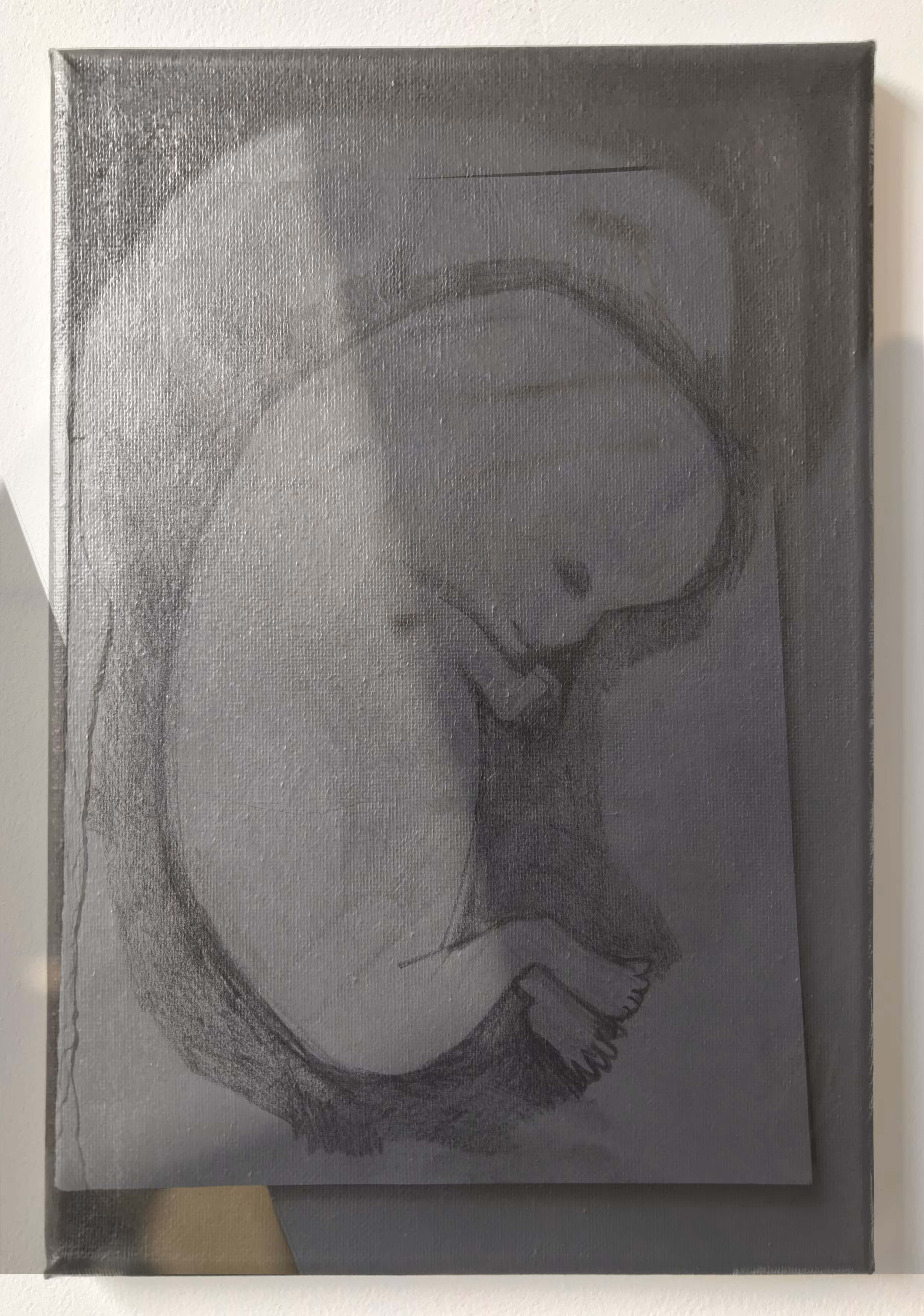 Photograph 14