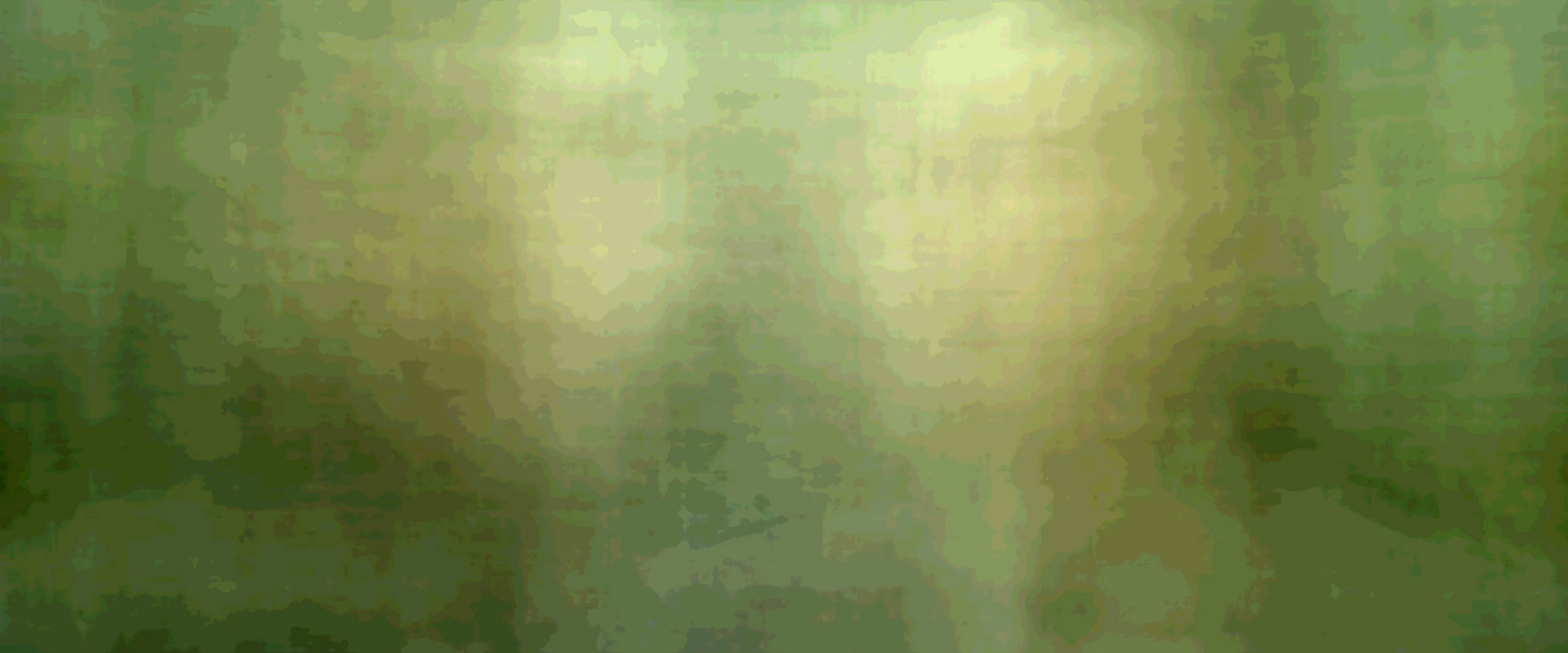 1118509056000-TMR-LLW
