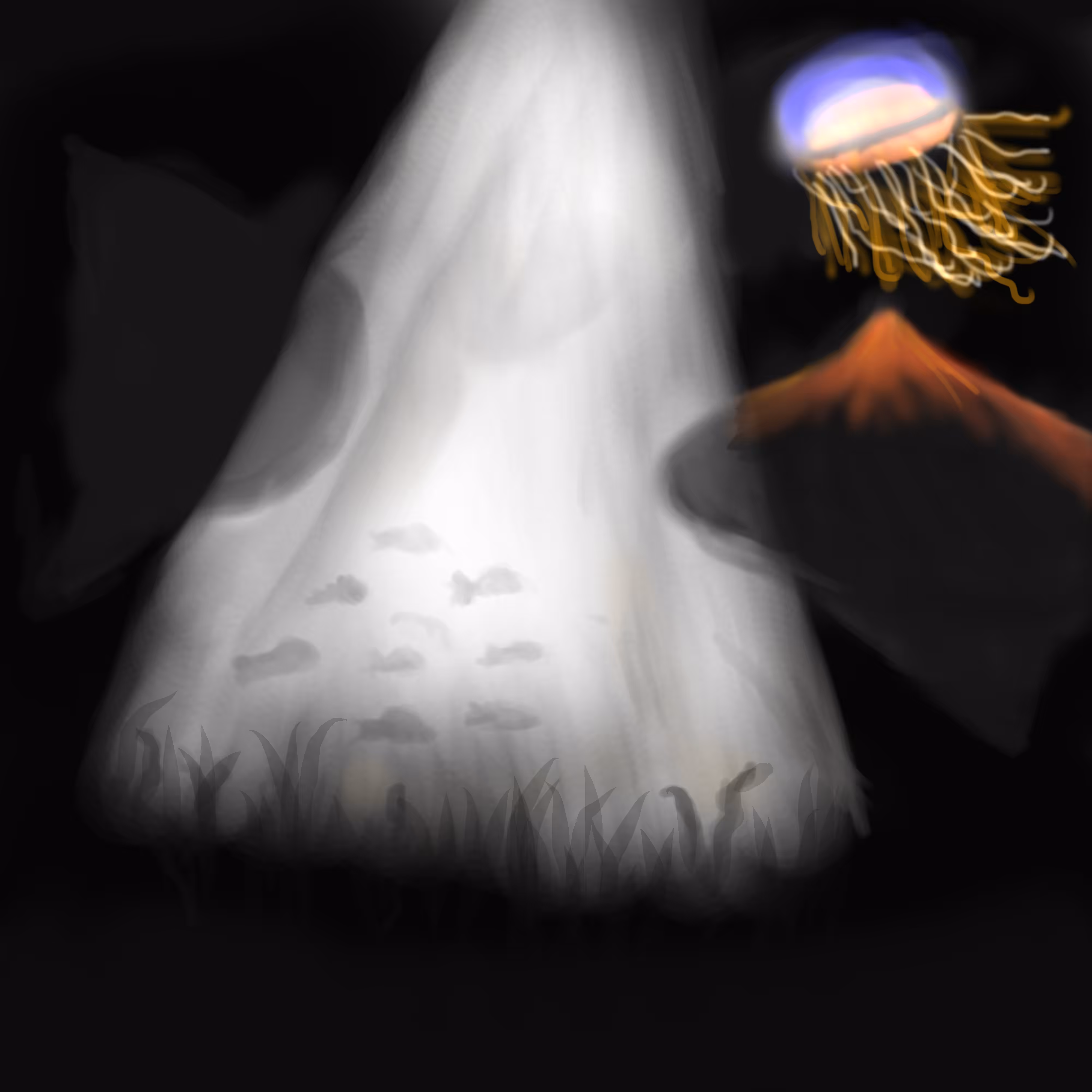 Noctulica