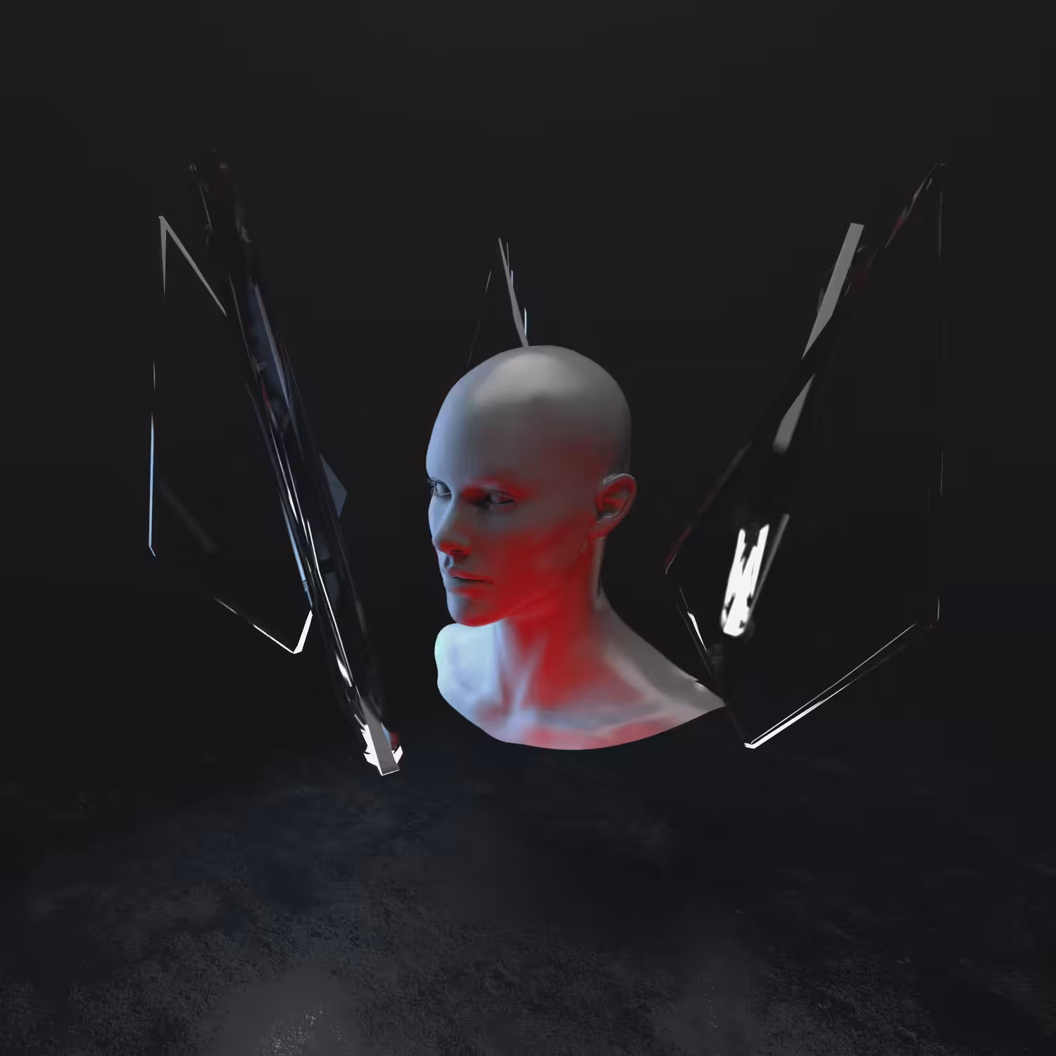 reflection