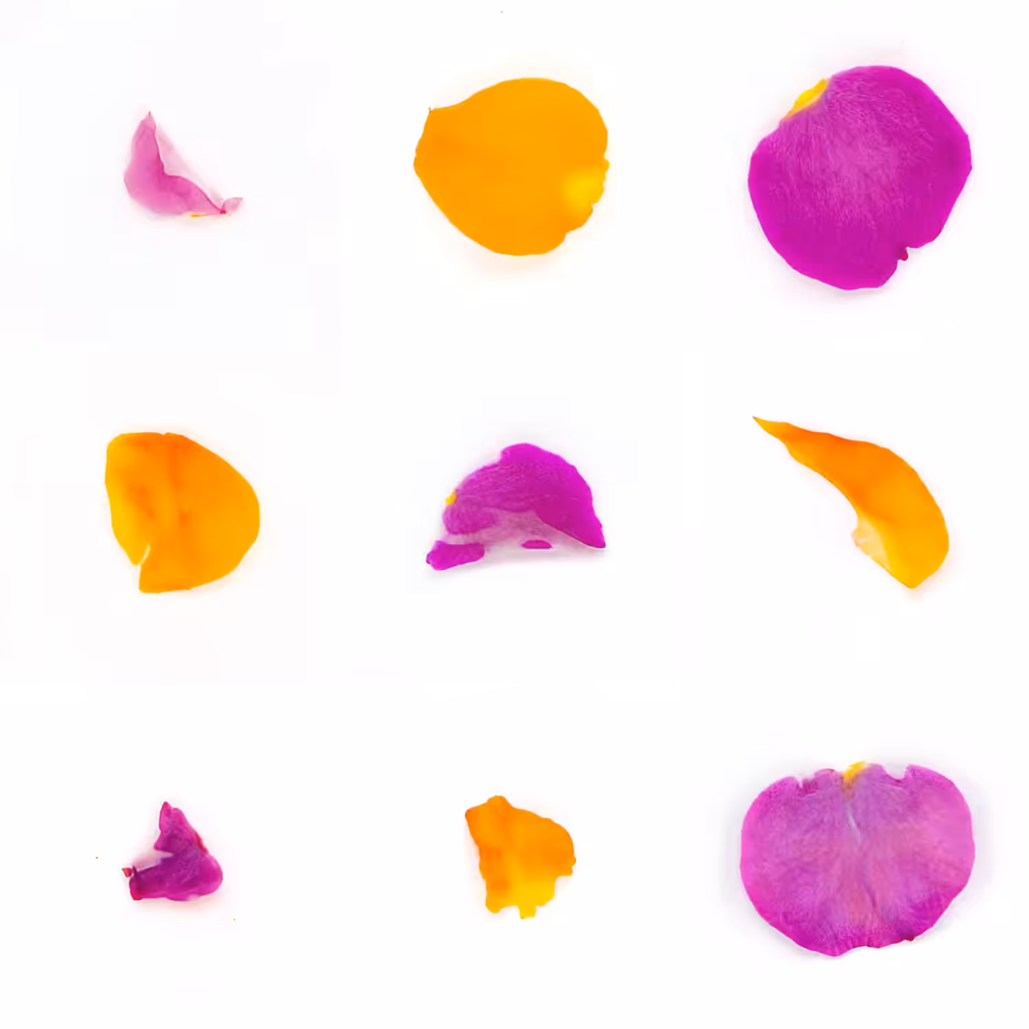 Infinite Petals 3x3#20294