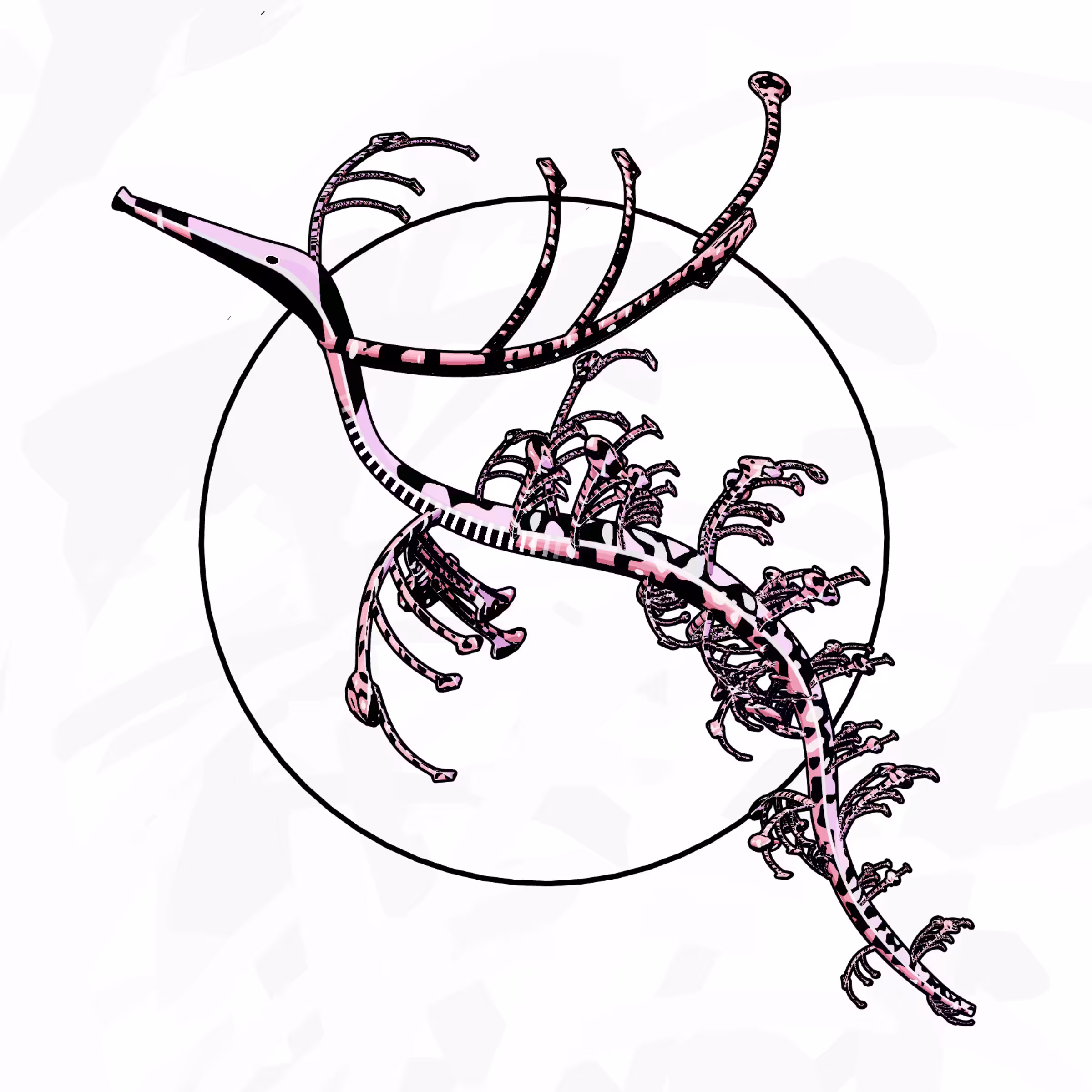 Seadragons #841