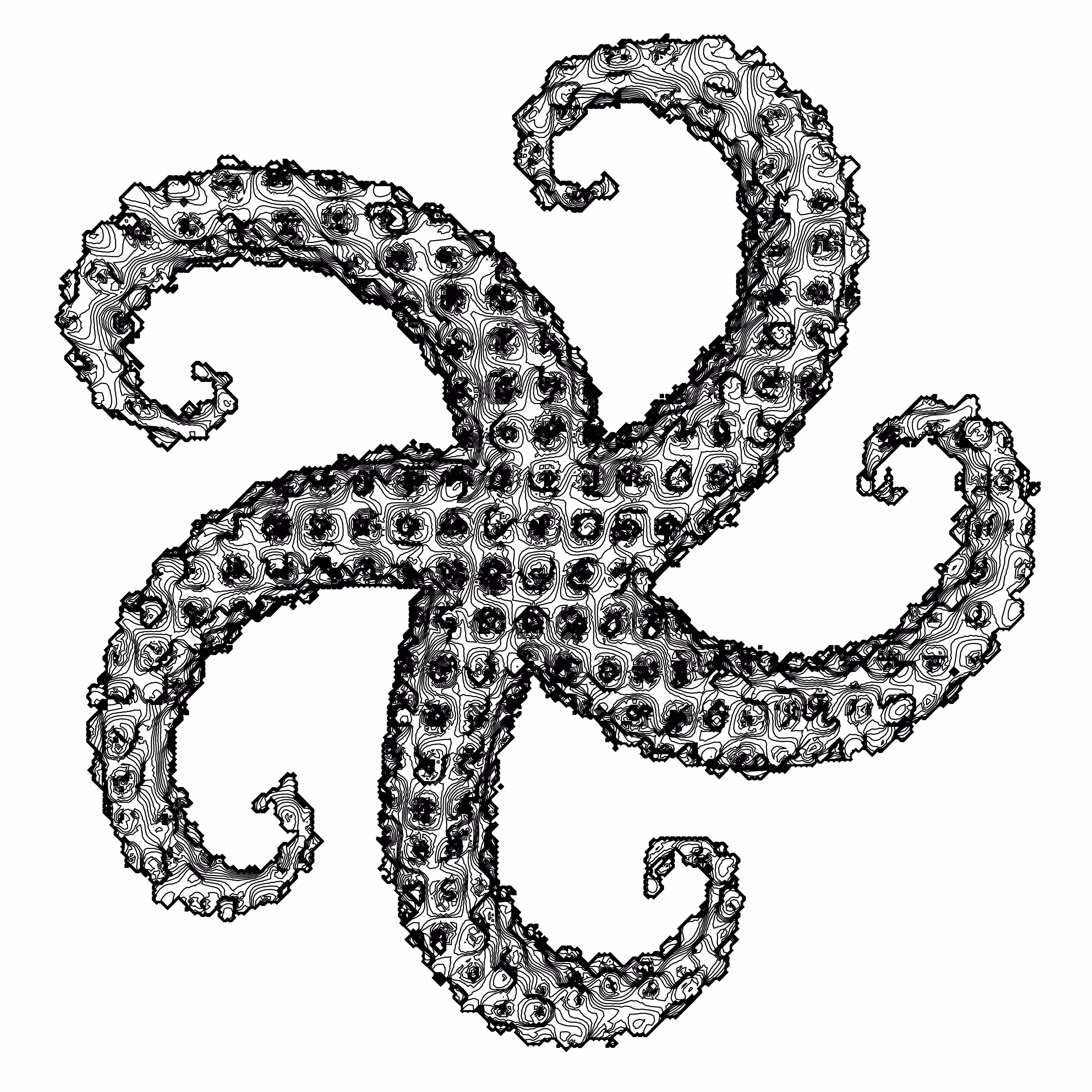 Starfish LL #4