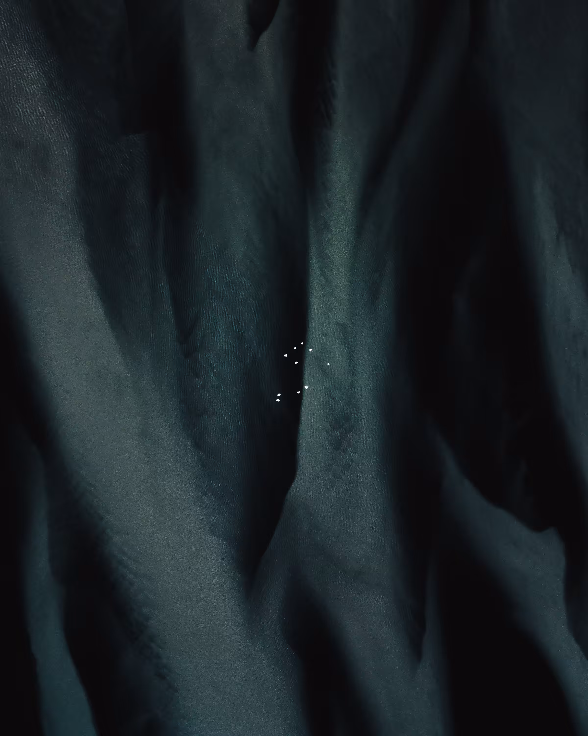 First Signs of Life