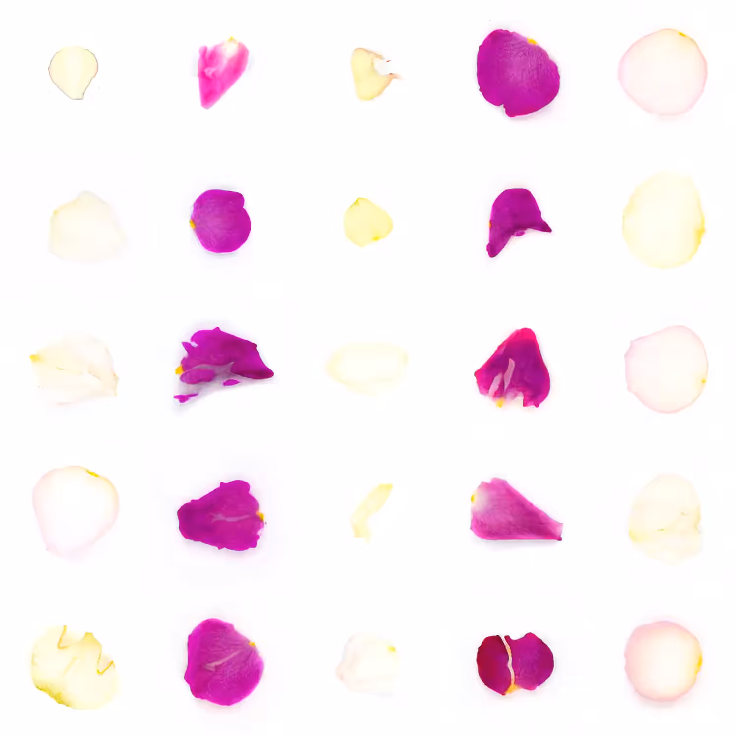 Infinite Petals 5x5#32
