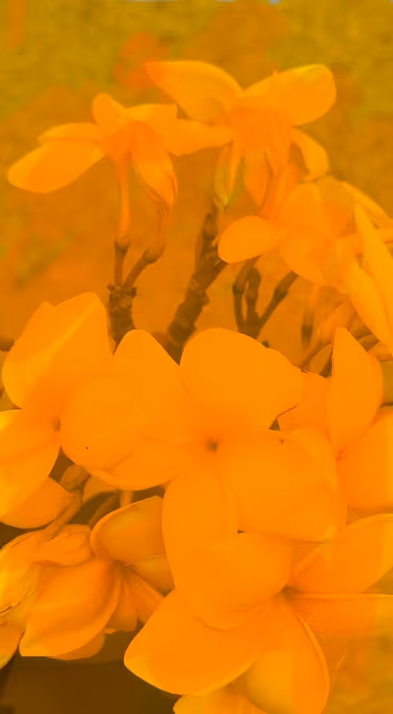 Golden Whispers of Eternity
