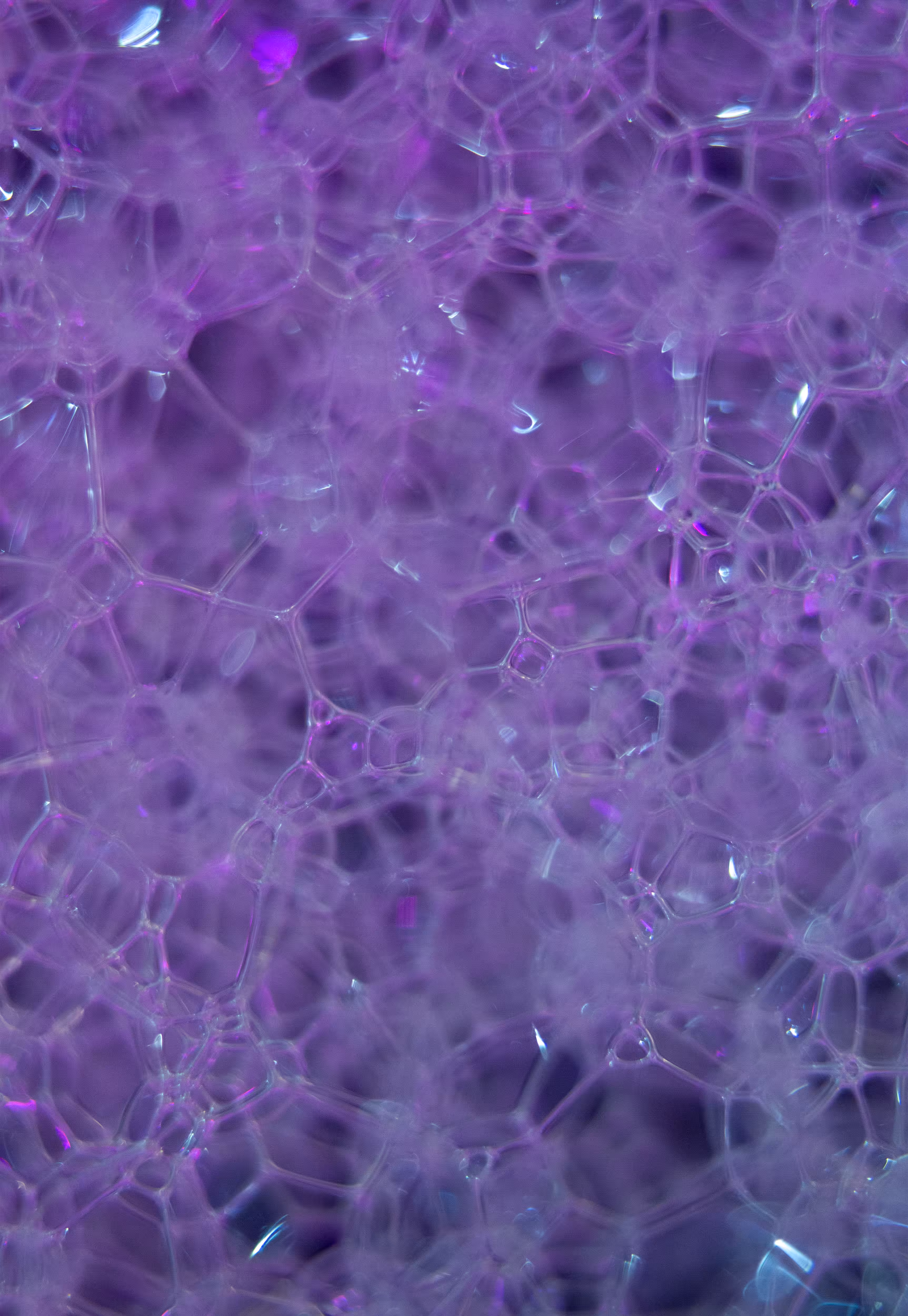 #105 Bubbles