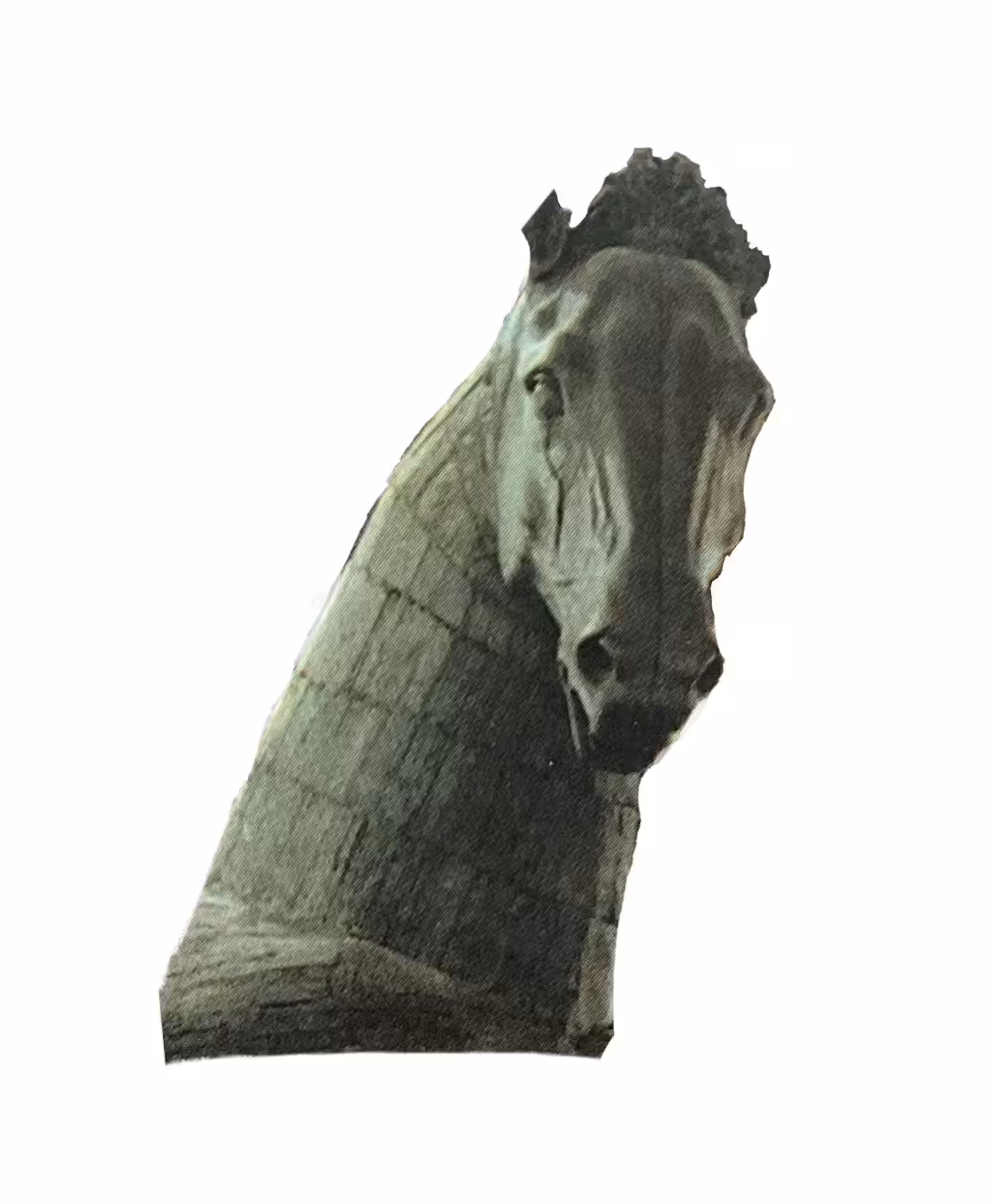An Epic Horse Travel