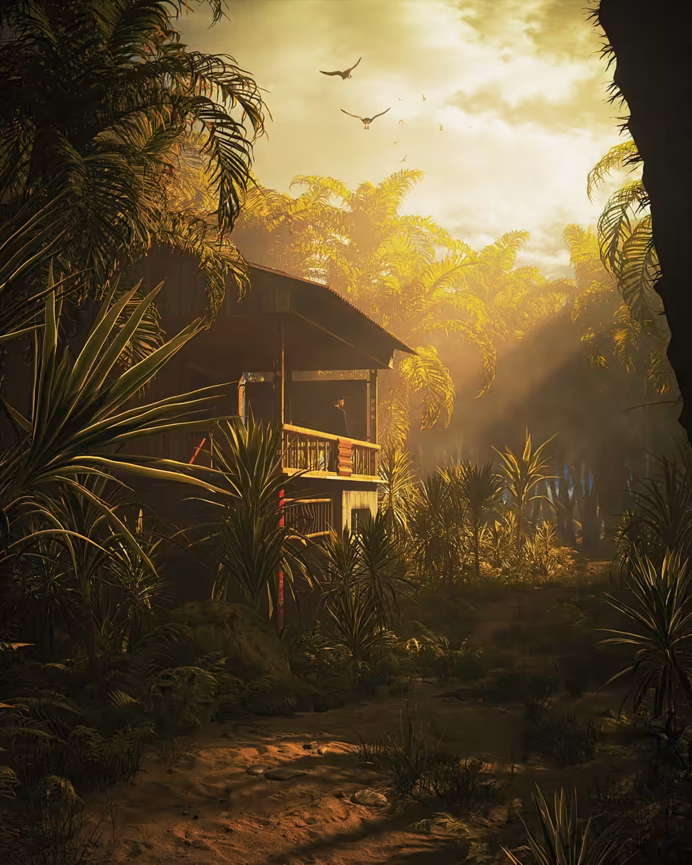 Jungle Morning