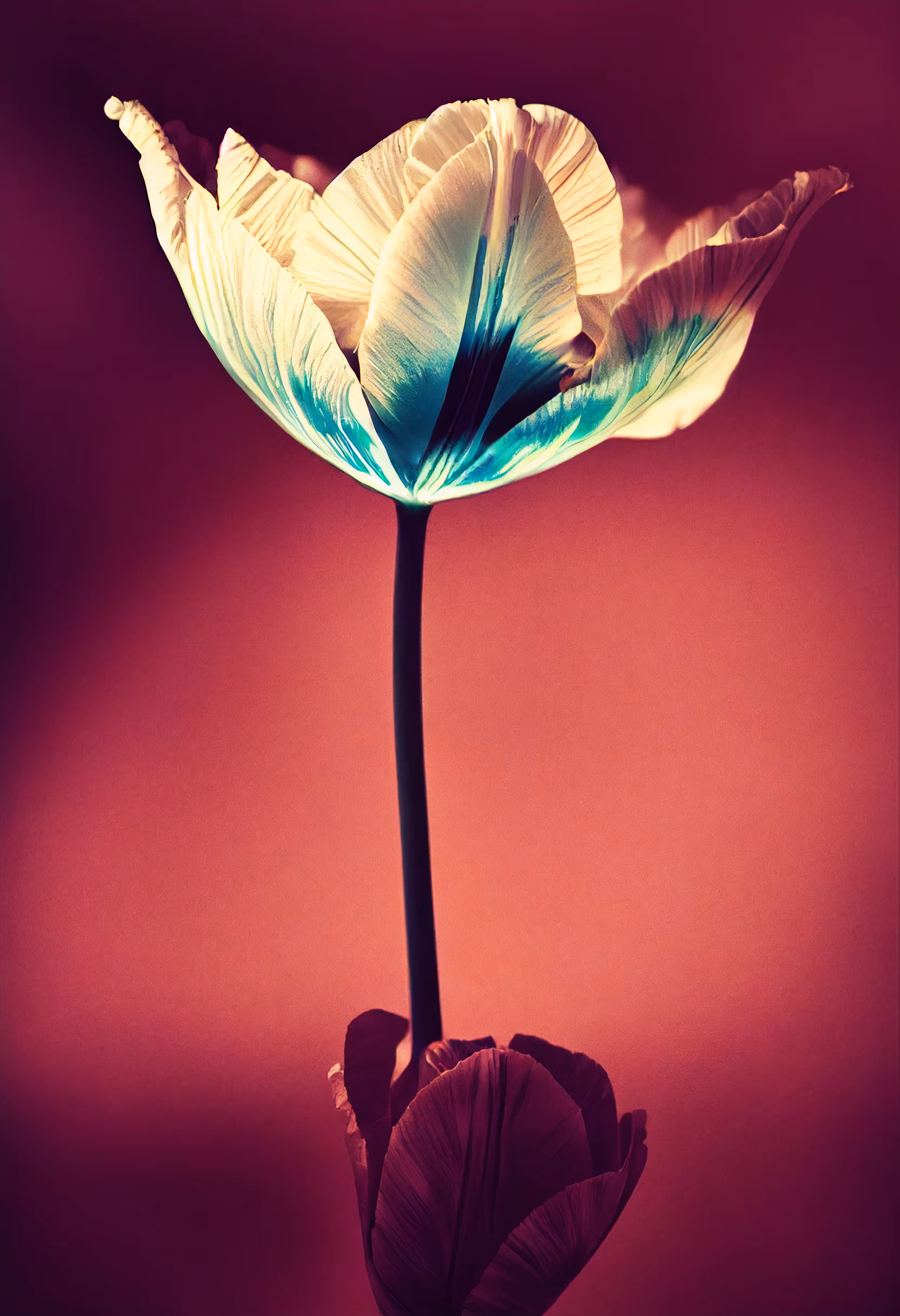 A Flower, Just For You. #142