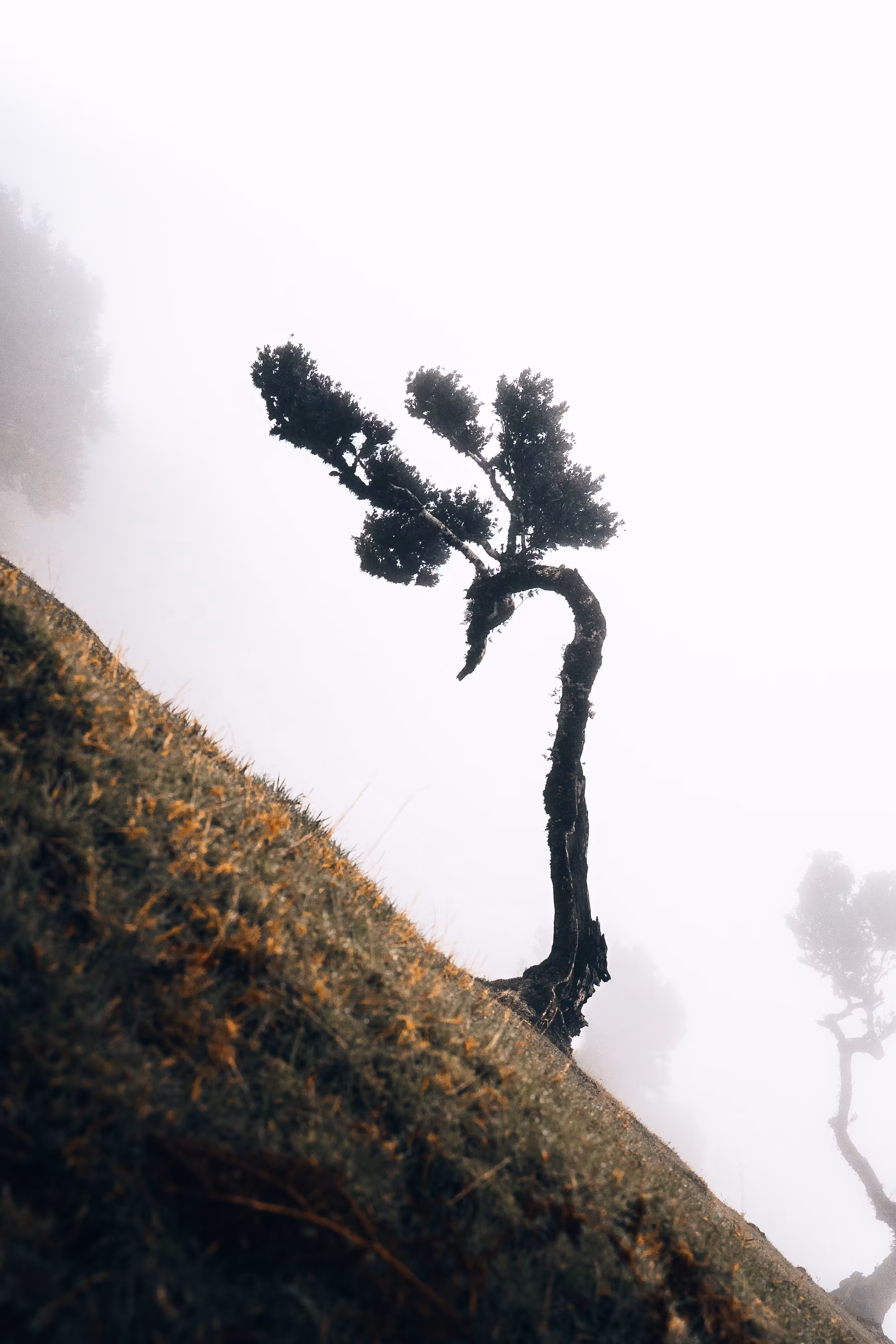 Fogged up World #14