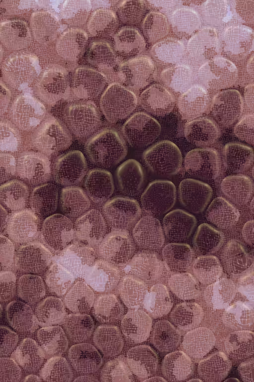 Vitreous #26