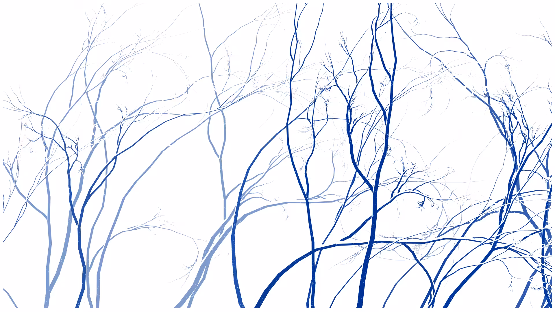 SCHNEEWALD #200