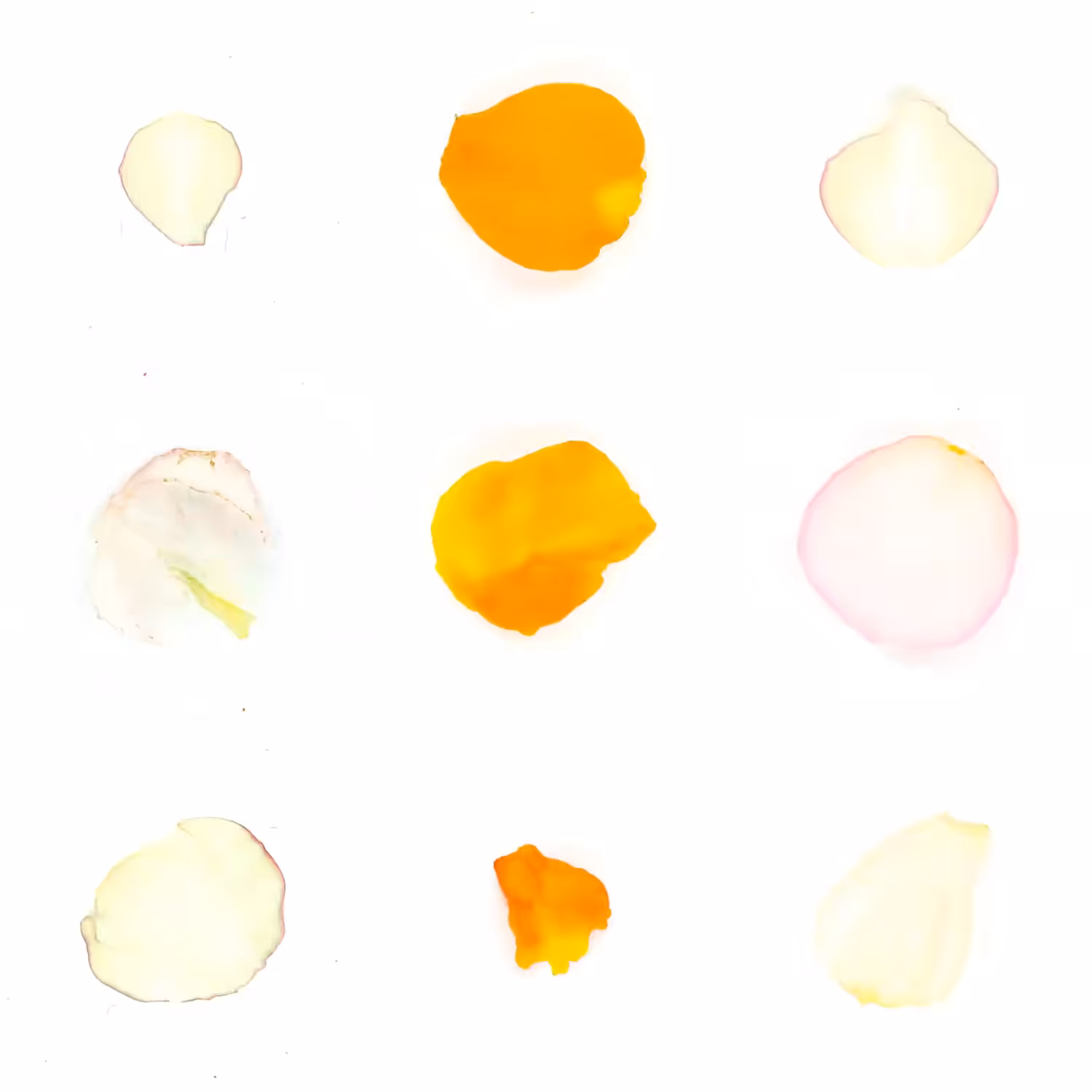 Infinite Petals 3x3#20184