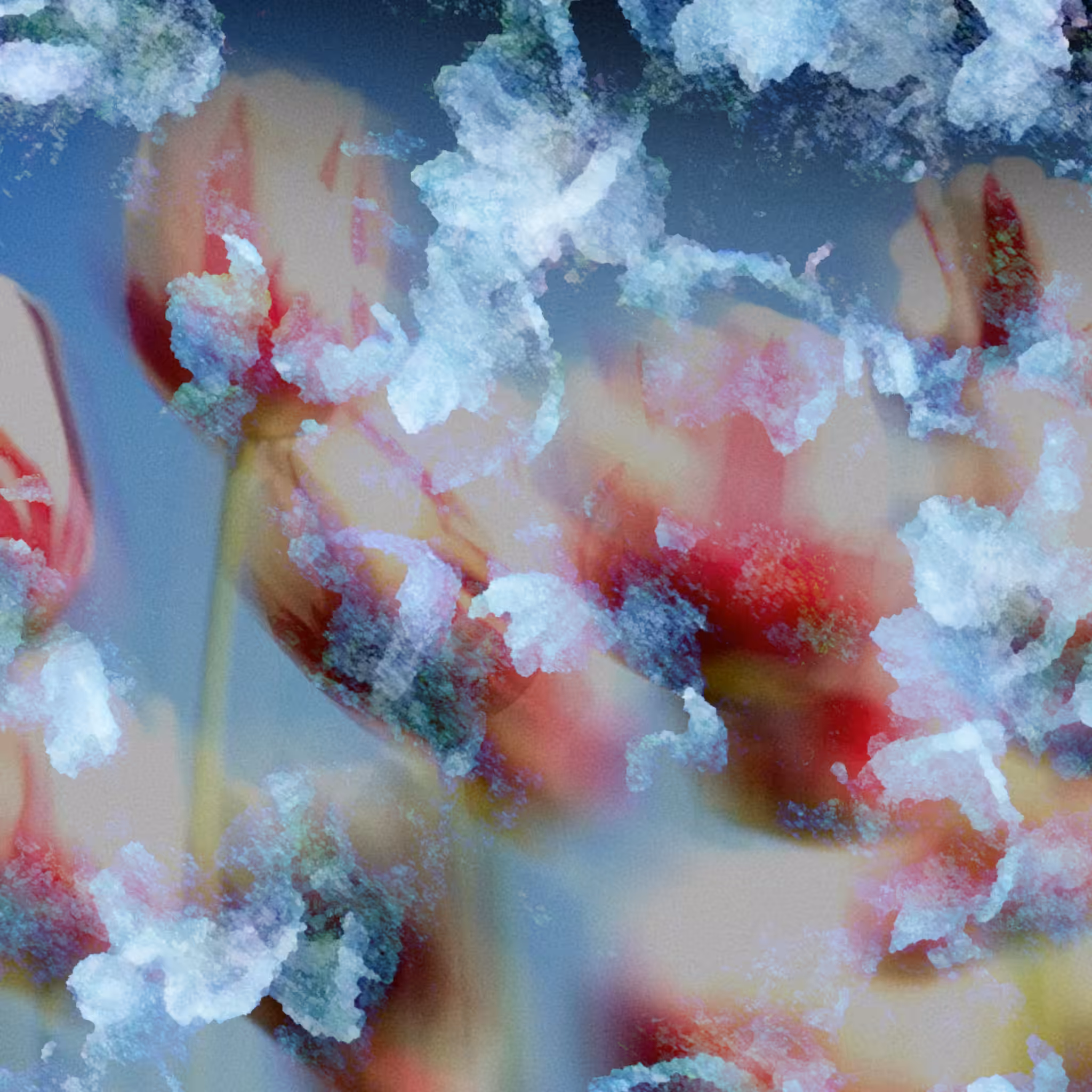 Frosted Bloom