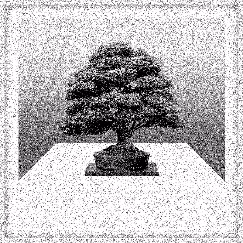 Bonsai Bonanza #604