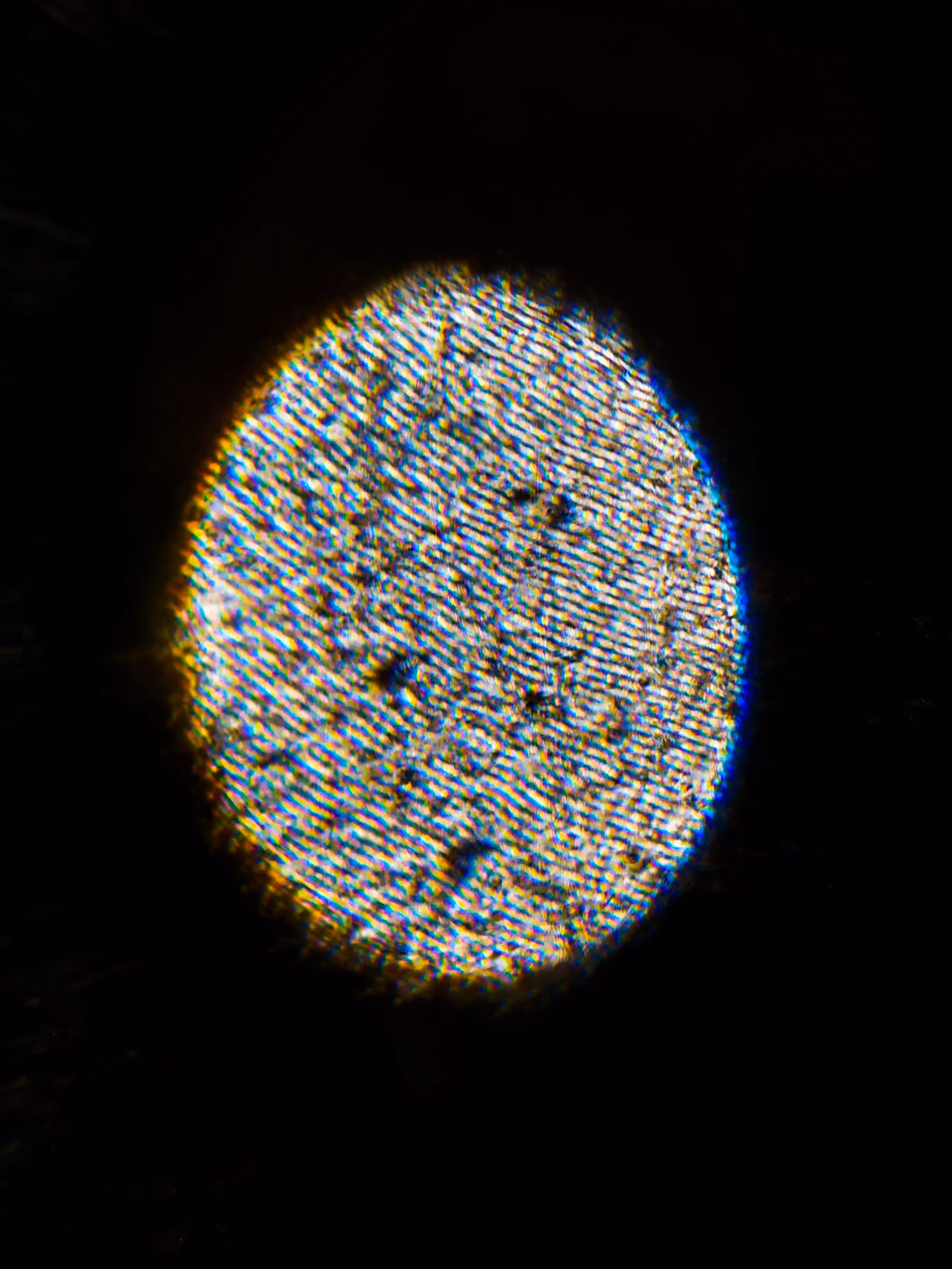 FINGERPRINT