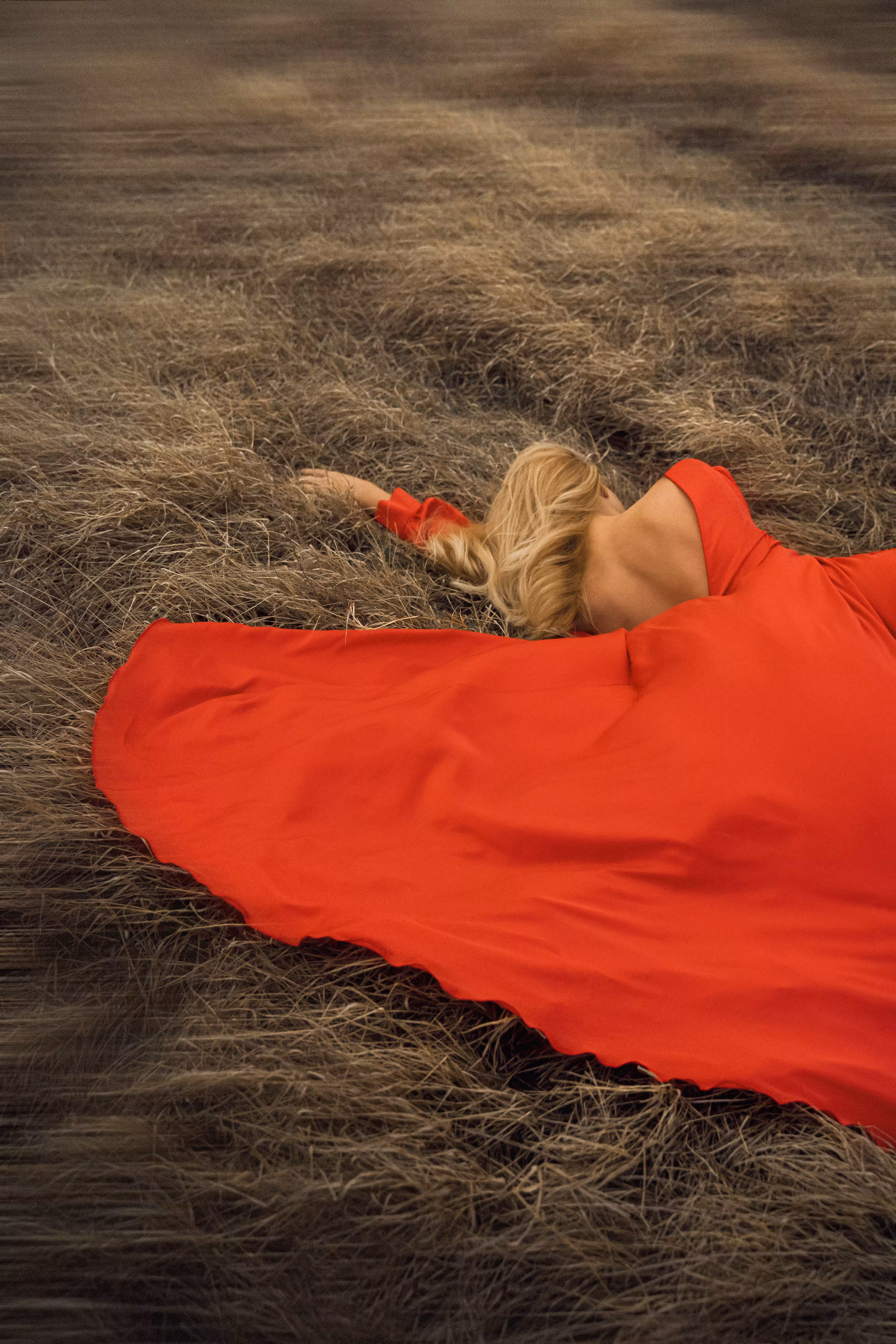 Scarlet Dress