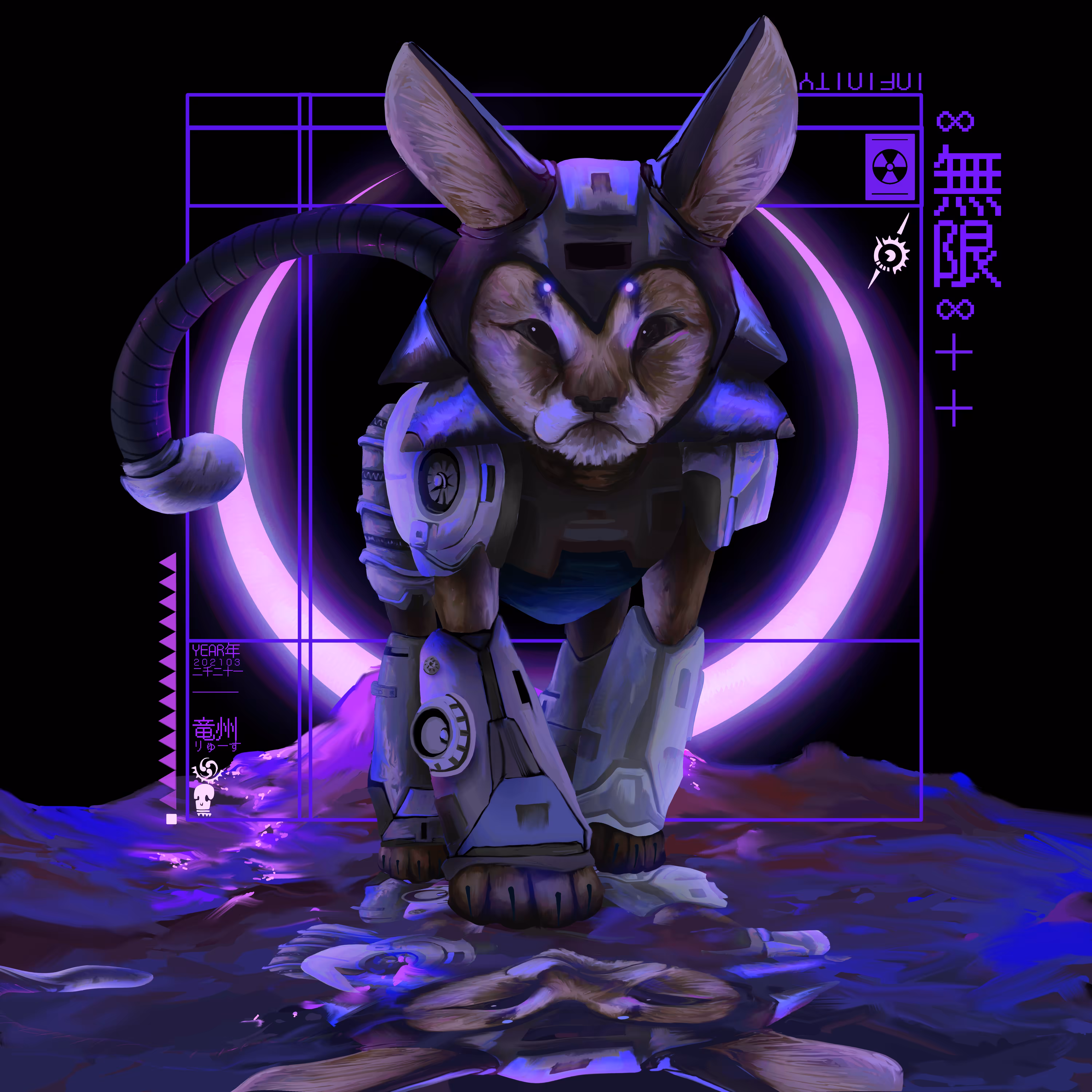 Infinity Cat