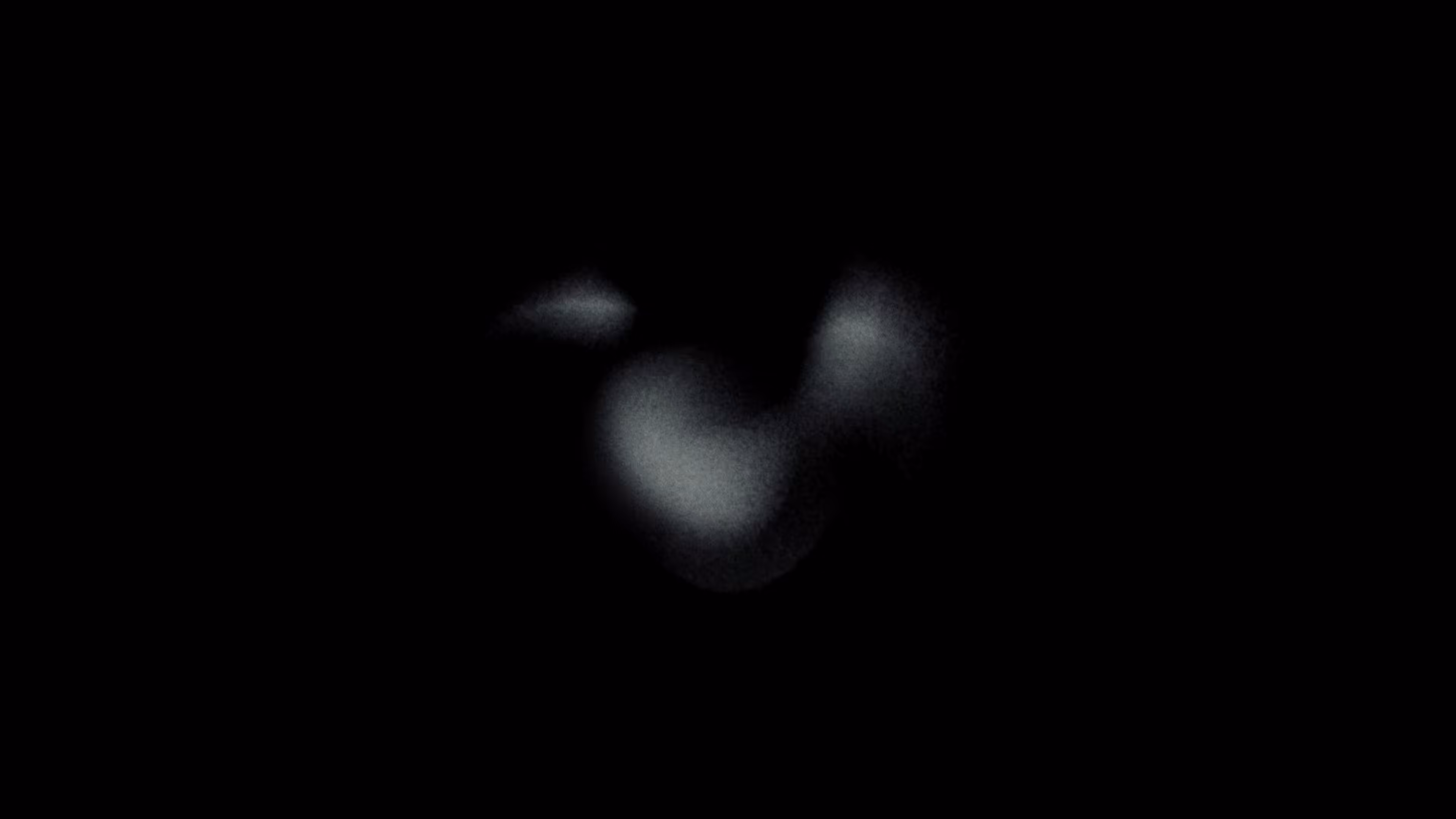 Epiphyte 08
