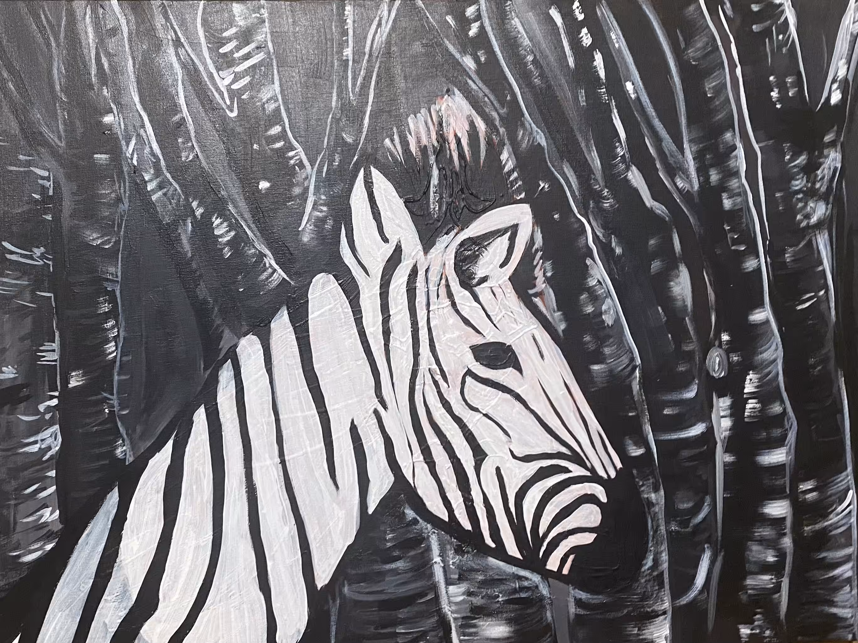 The Happy Valley: Zebra 