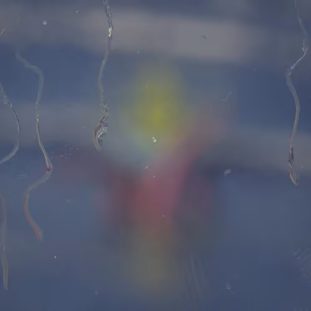 Stabilizer Octopus
