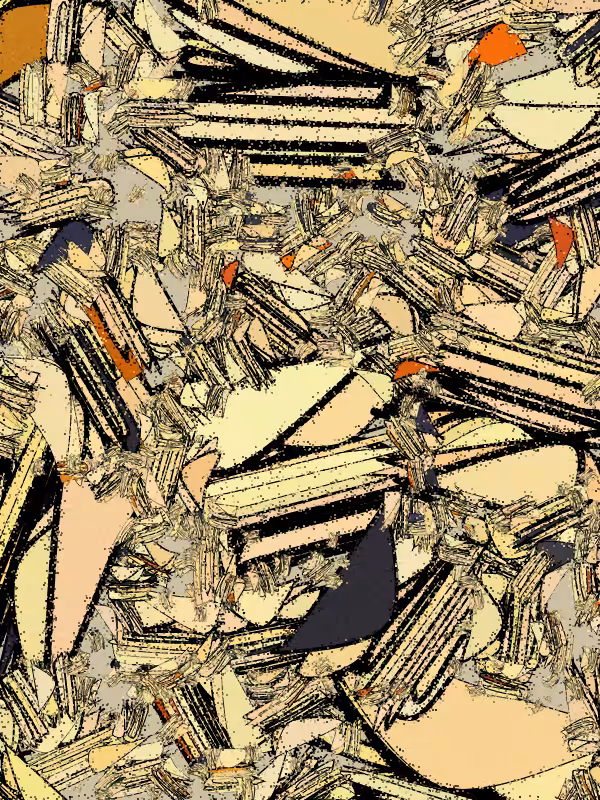 Lepidoptera #72