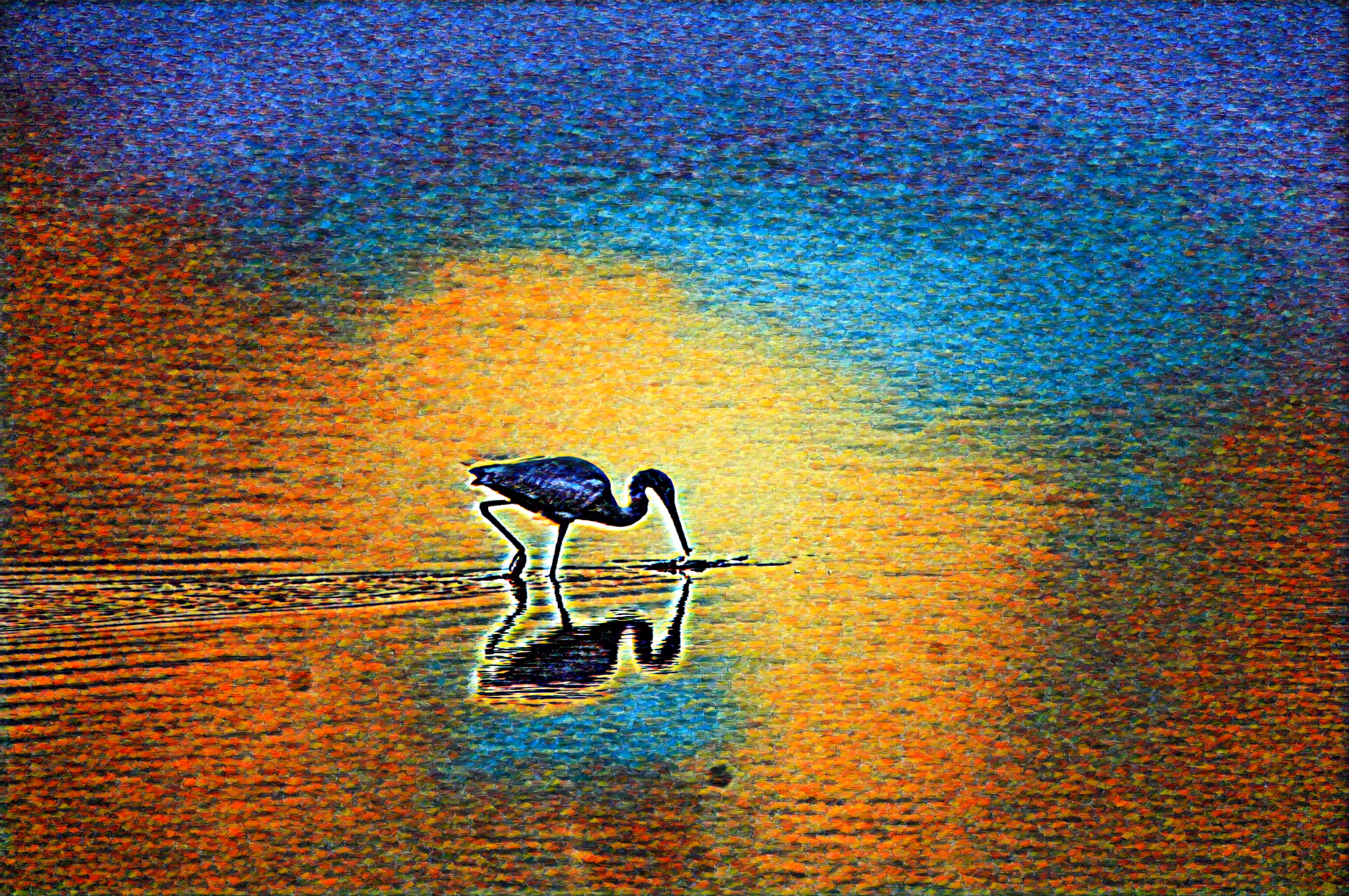 Animal Migration