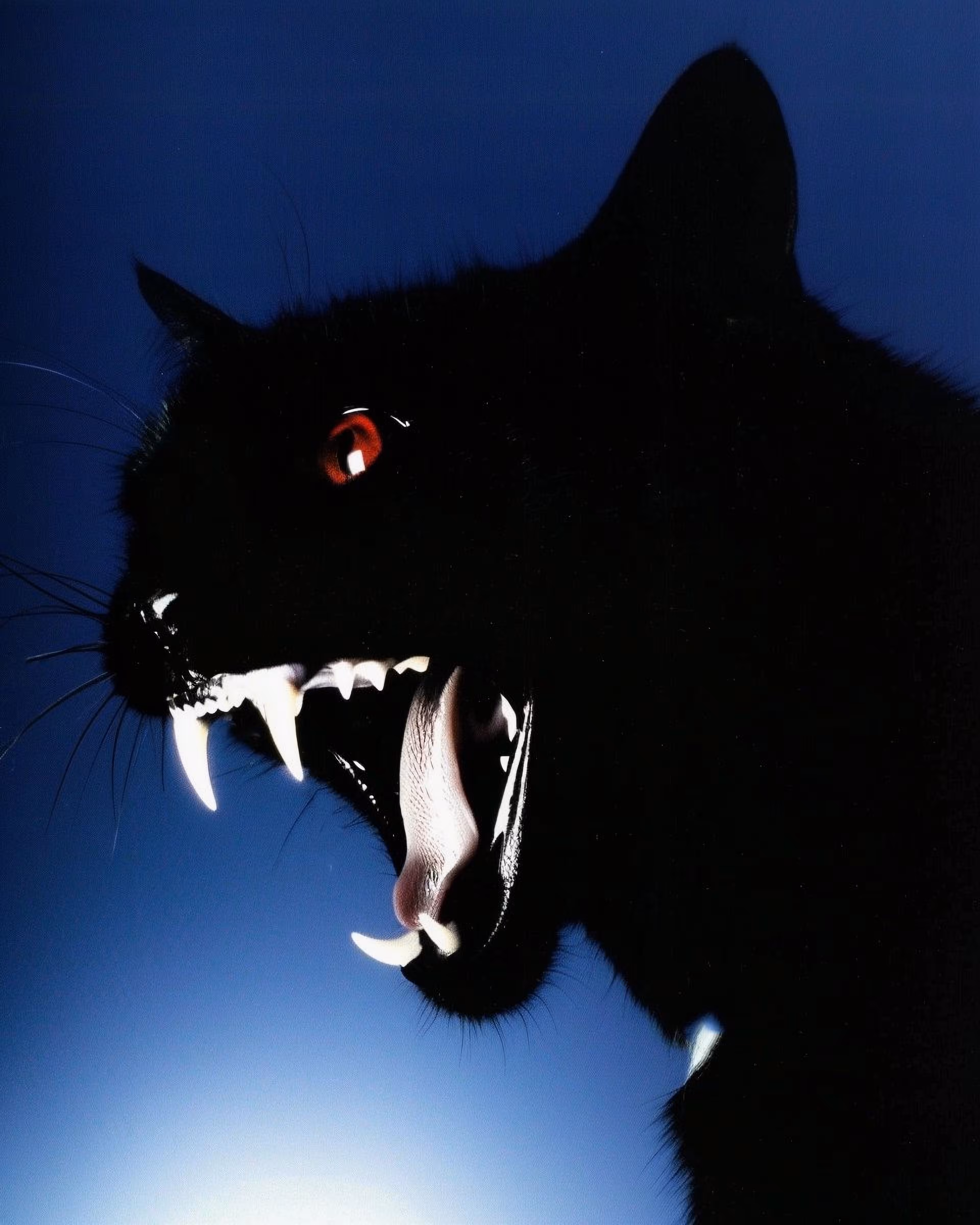 Red Eye