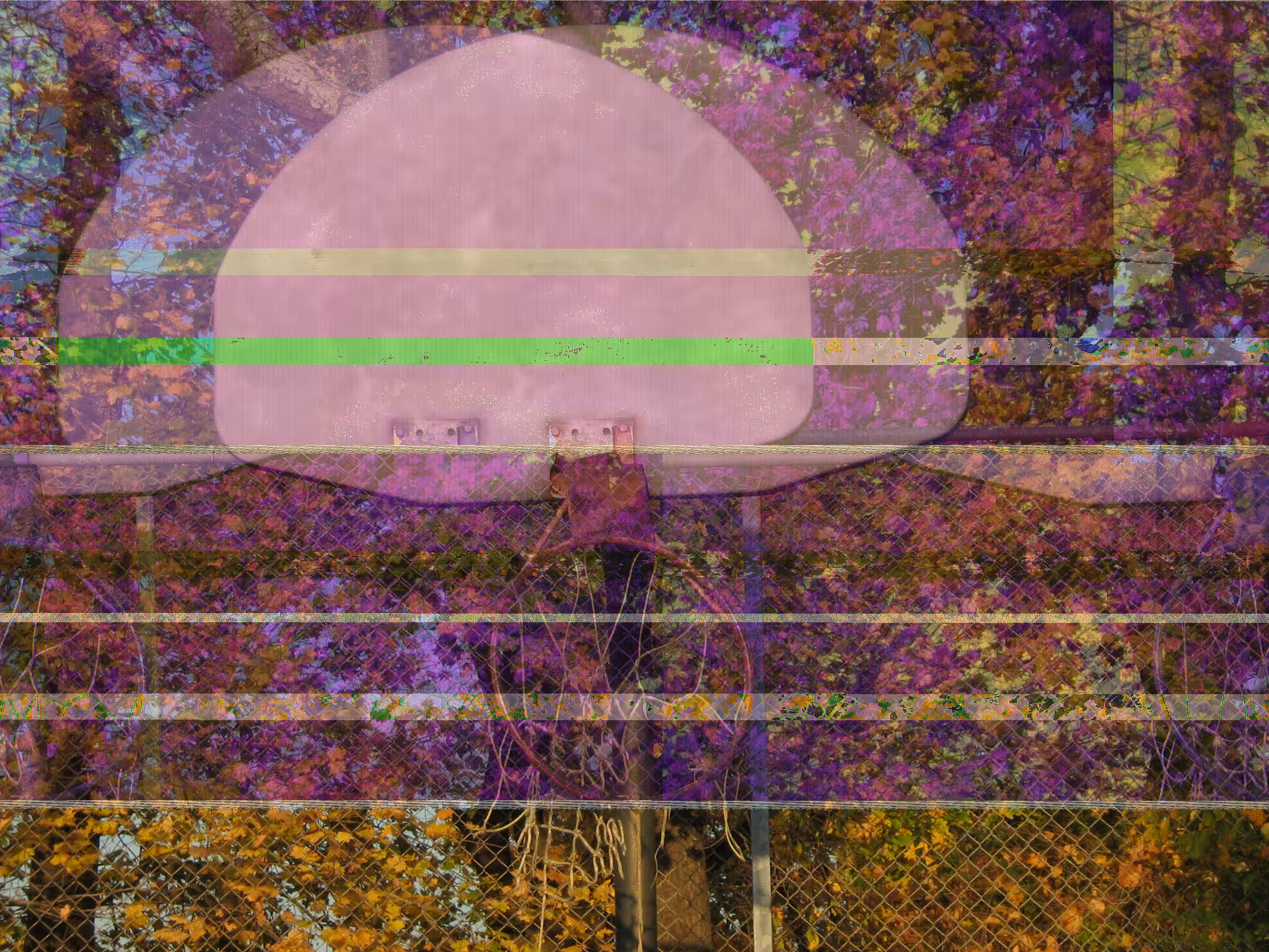 Broken and forgotten