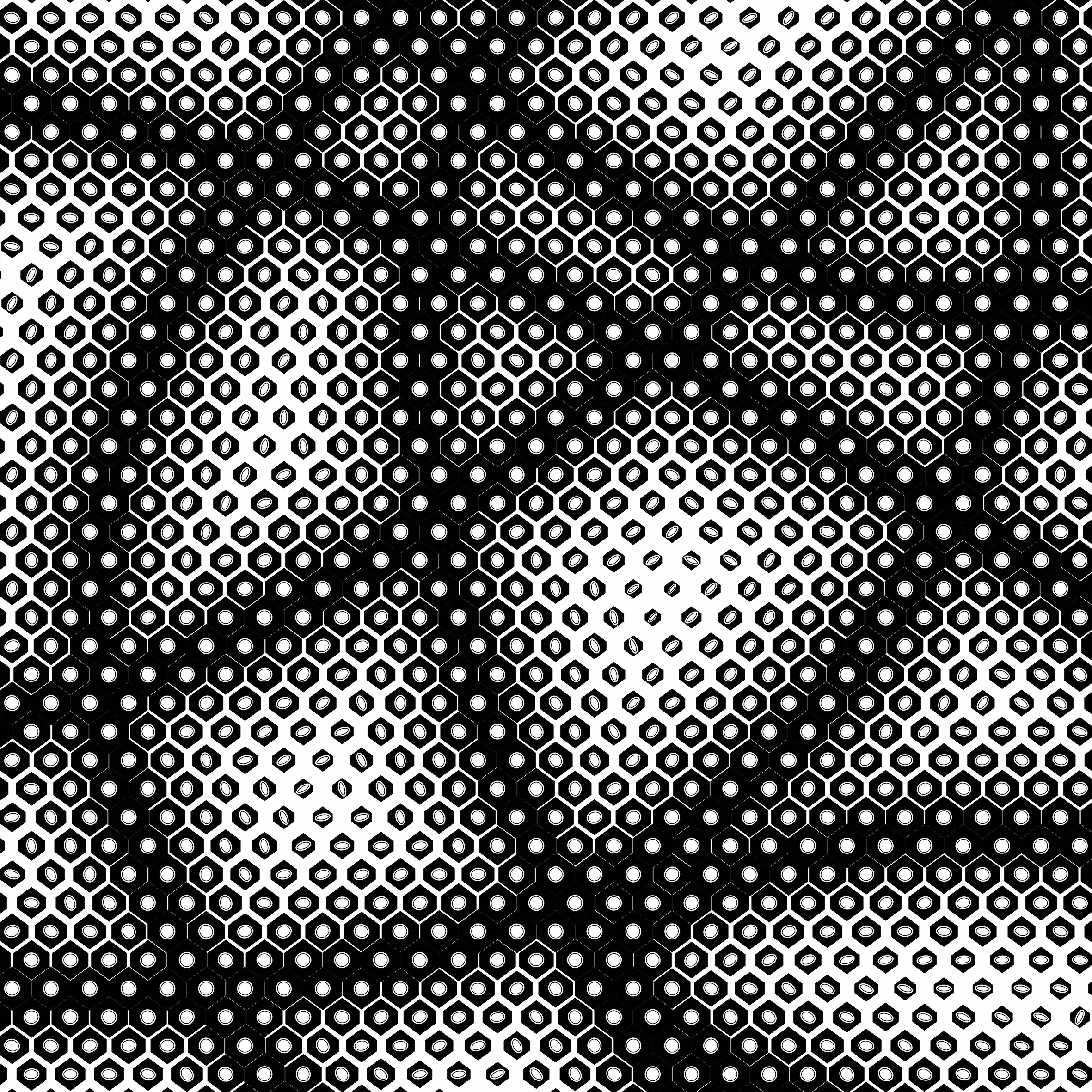 002 - Morphogenesis - 2D Attractor