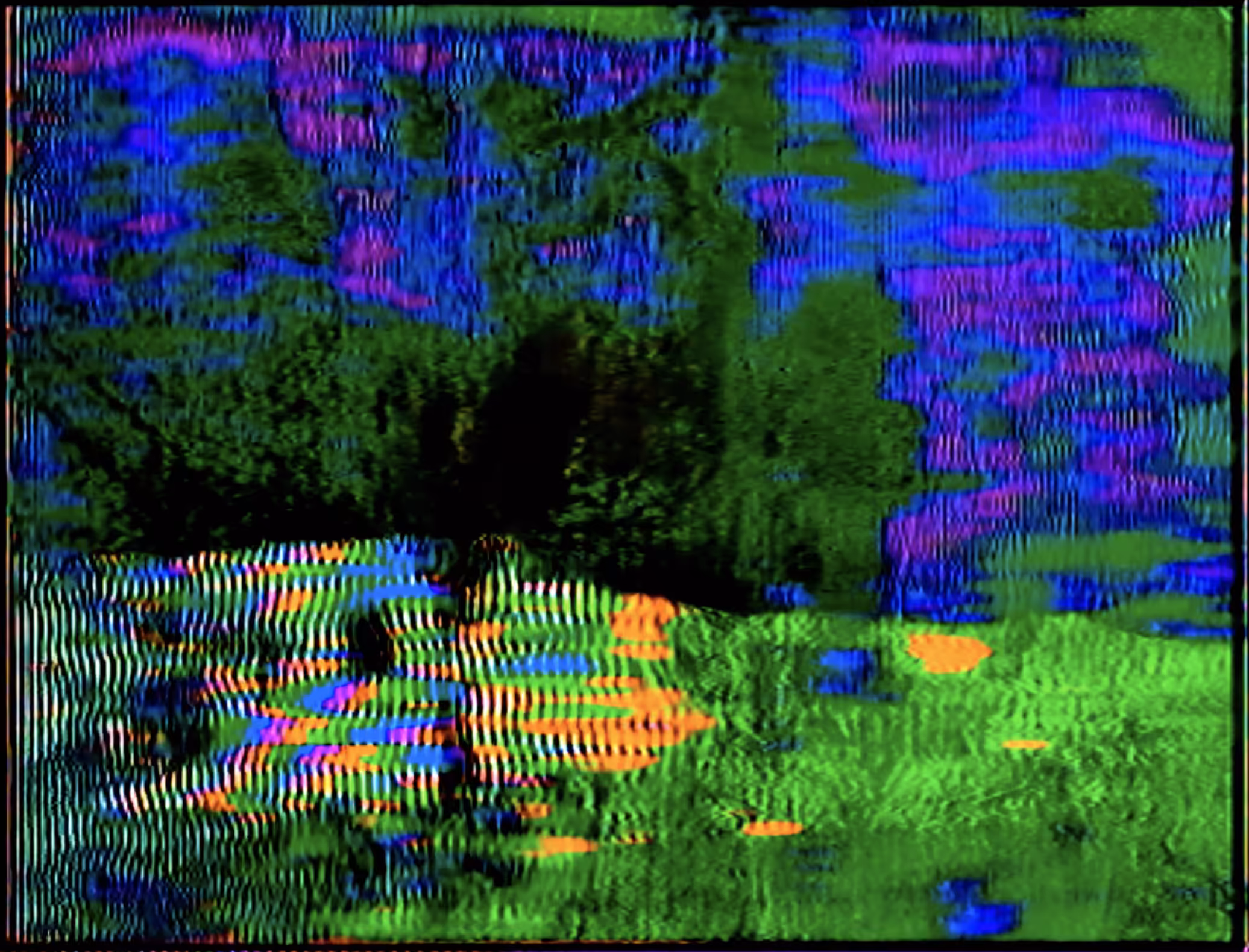 тⓡ𝐄𝐄 🌳 Patron Edition
