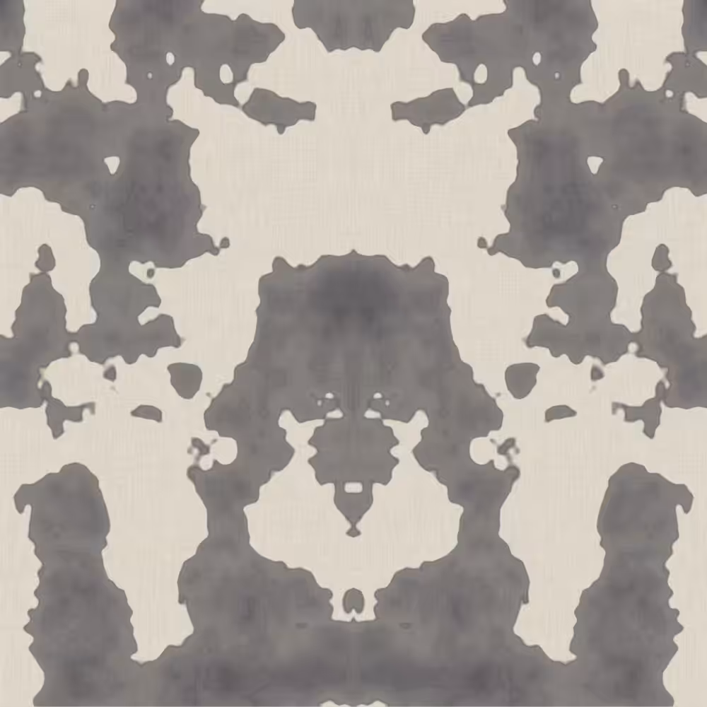 Imagine Rorschach