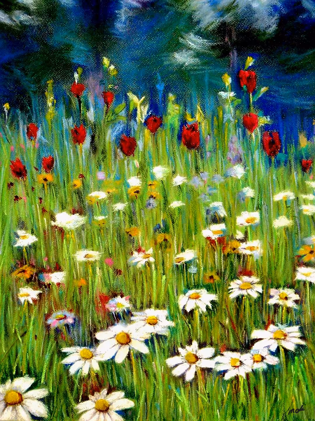 Daisies