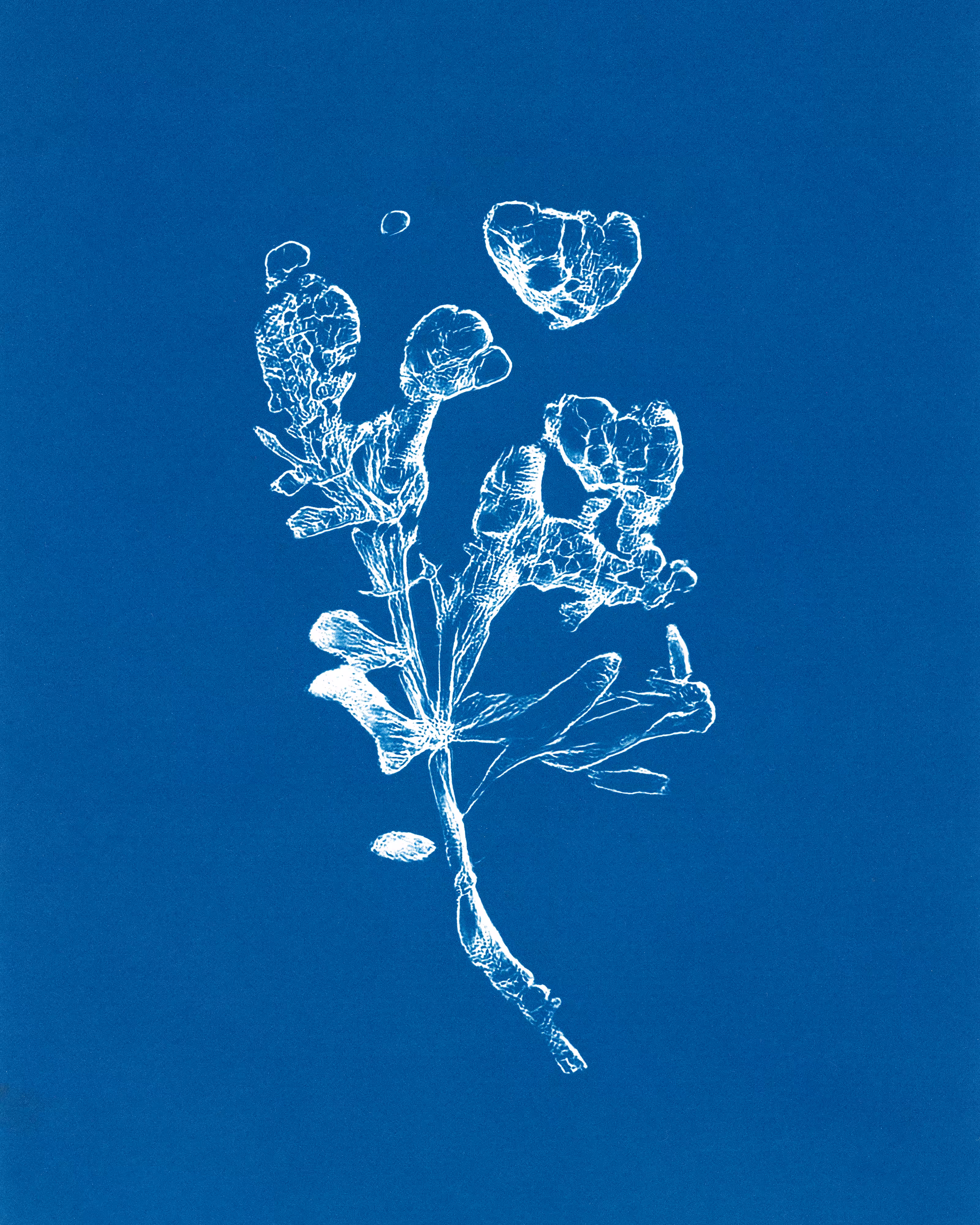 In Translation #10 by Claudia Pawlak