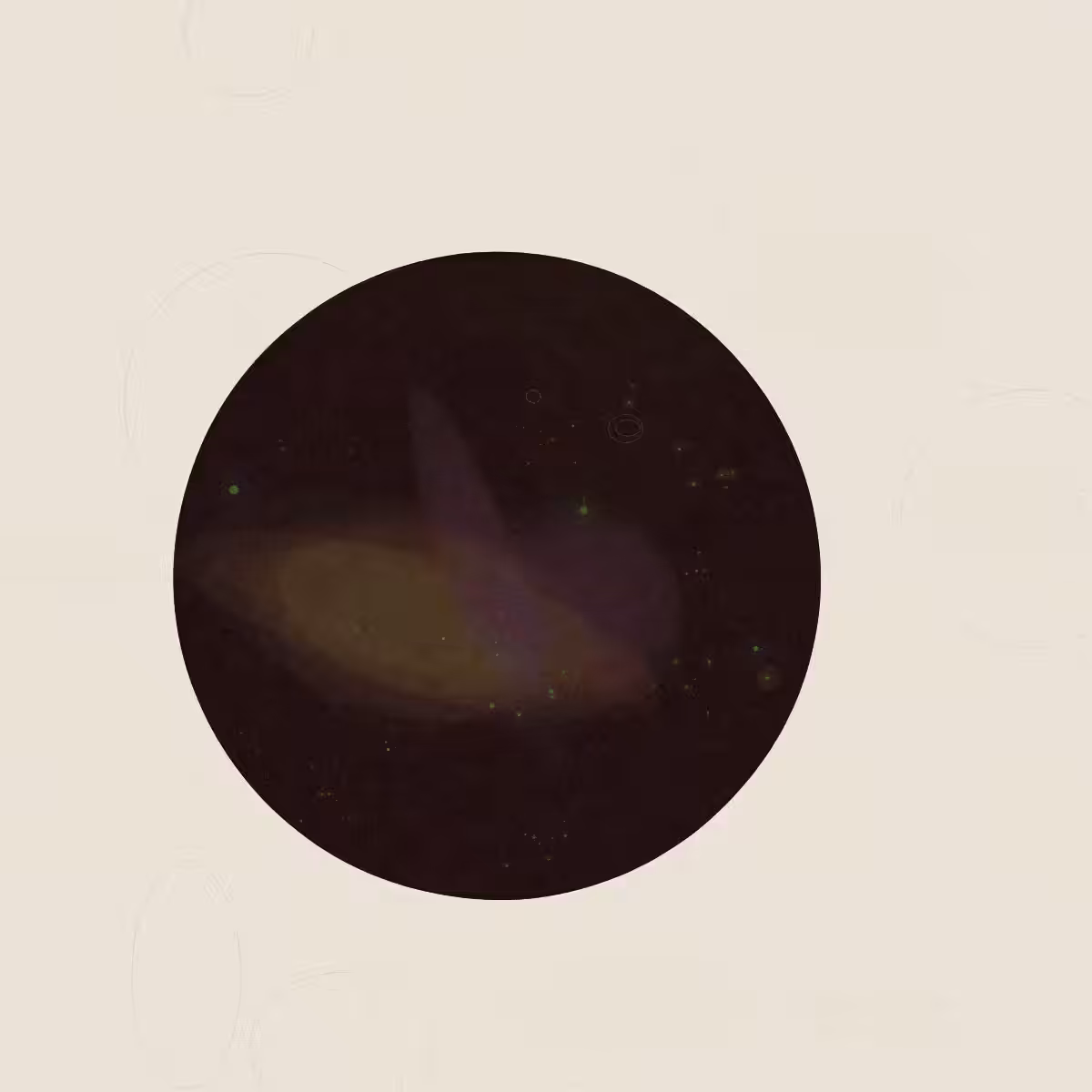 SYSTEMS #196