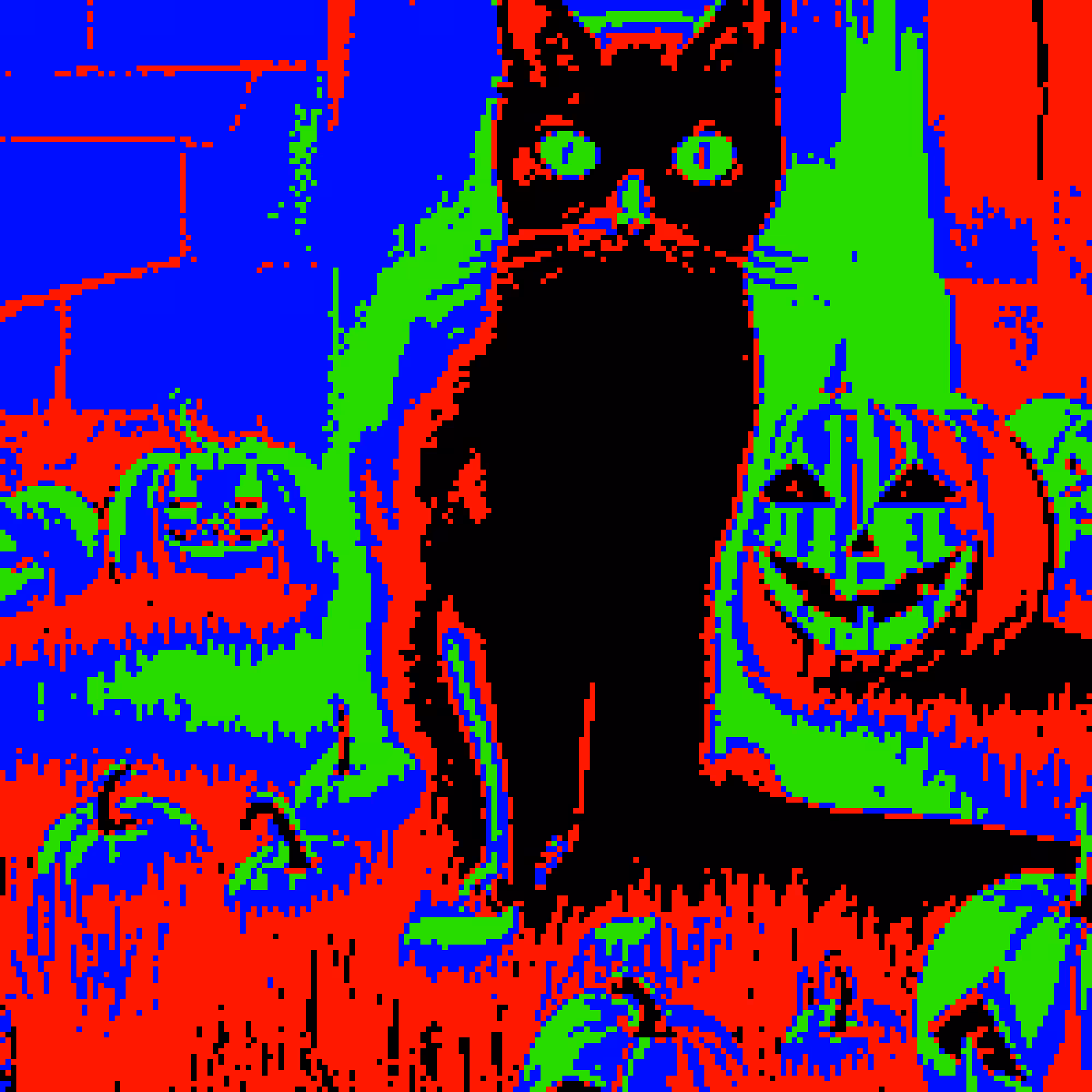 noir