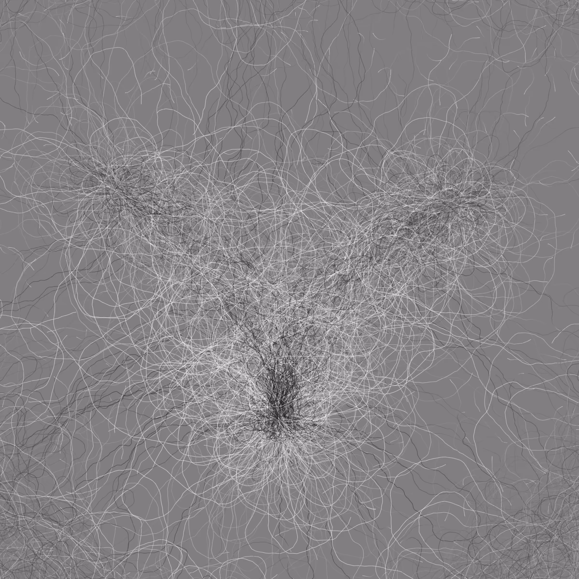 Phototaxis #594