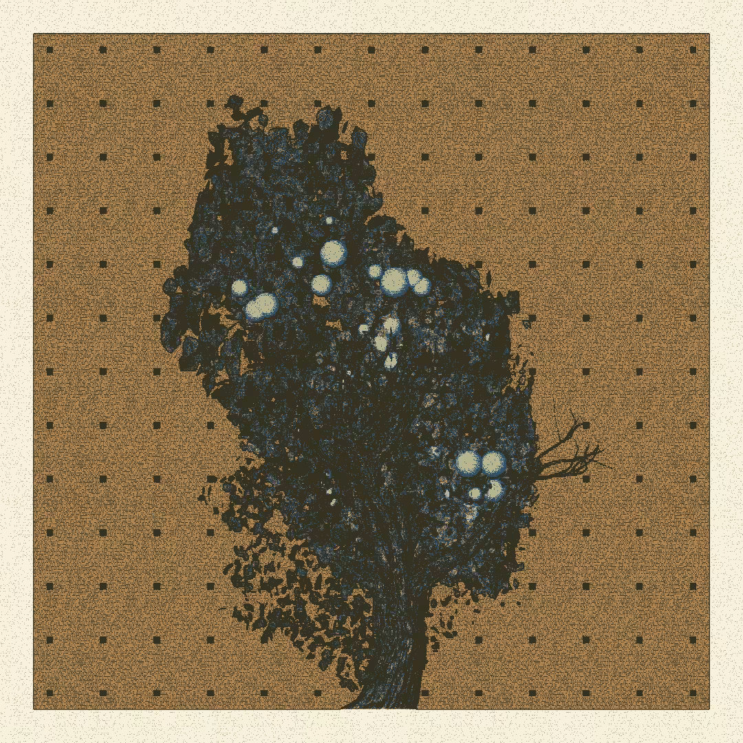 _argania[primaria] #35