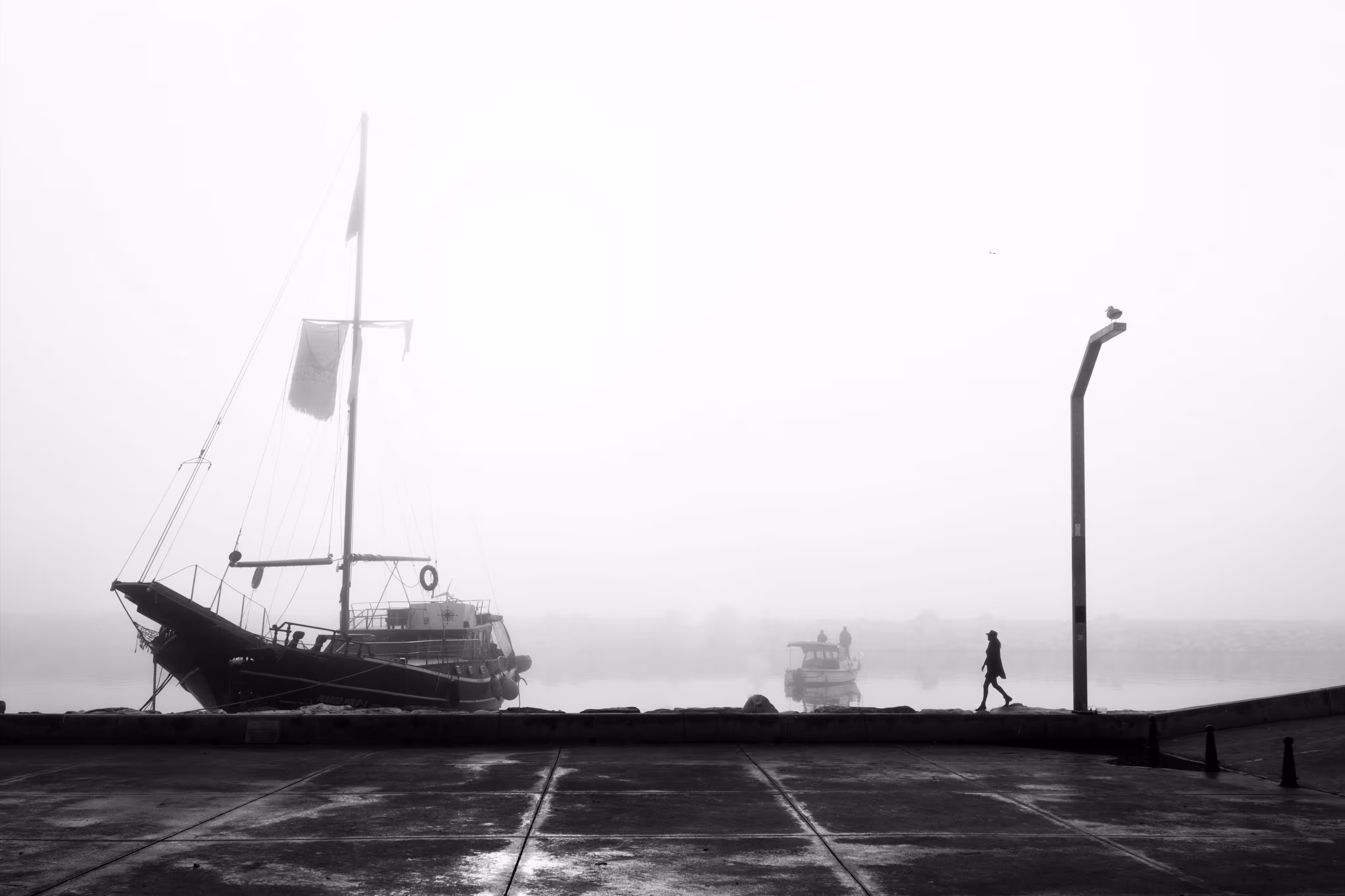 Foggy Day 