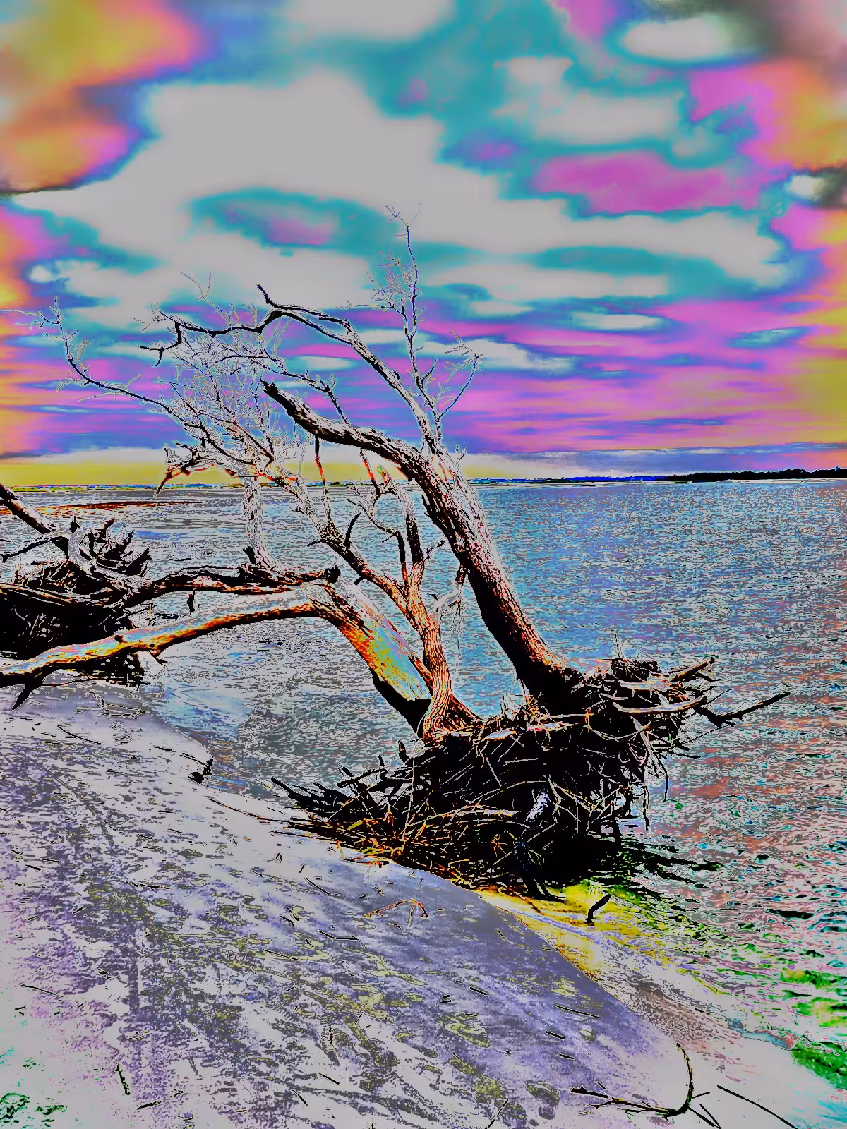 RAINBOW DRIFTER