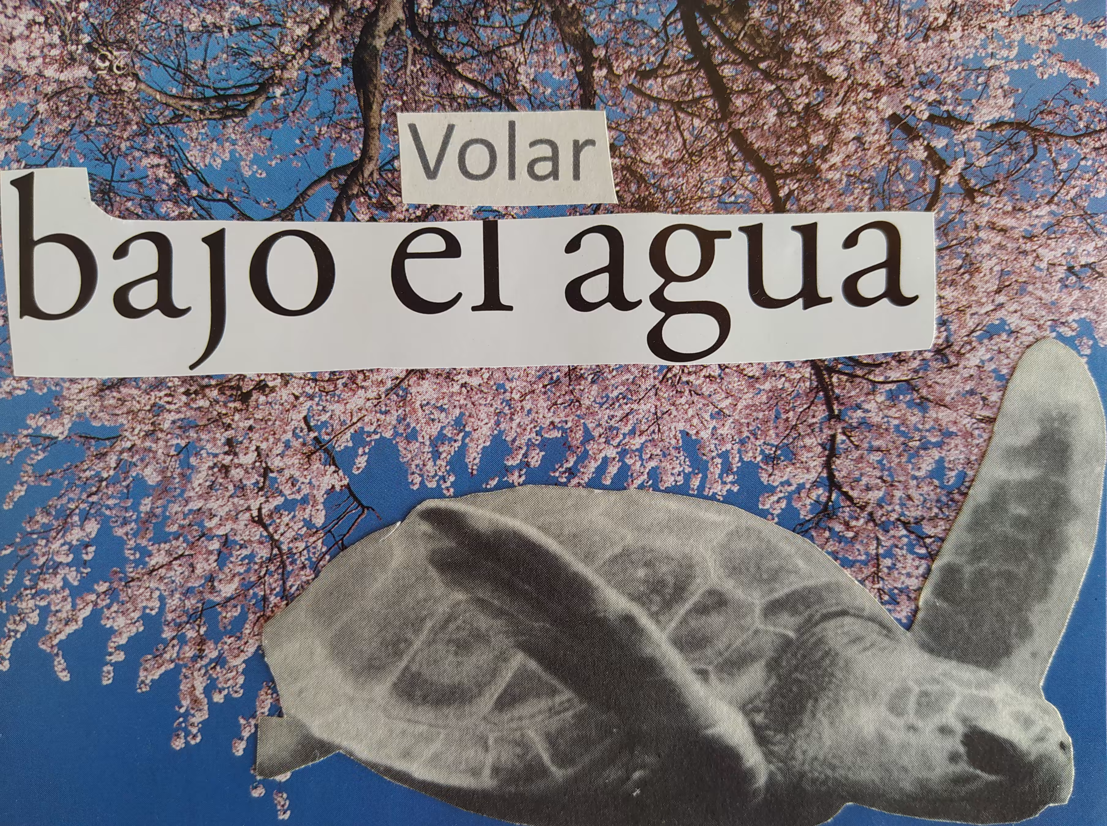 Volar bajo el agua