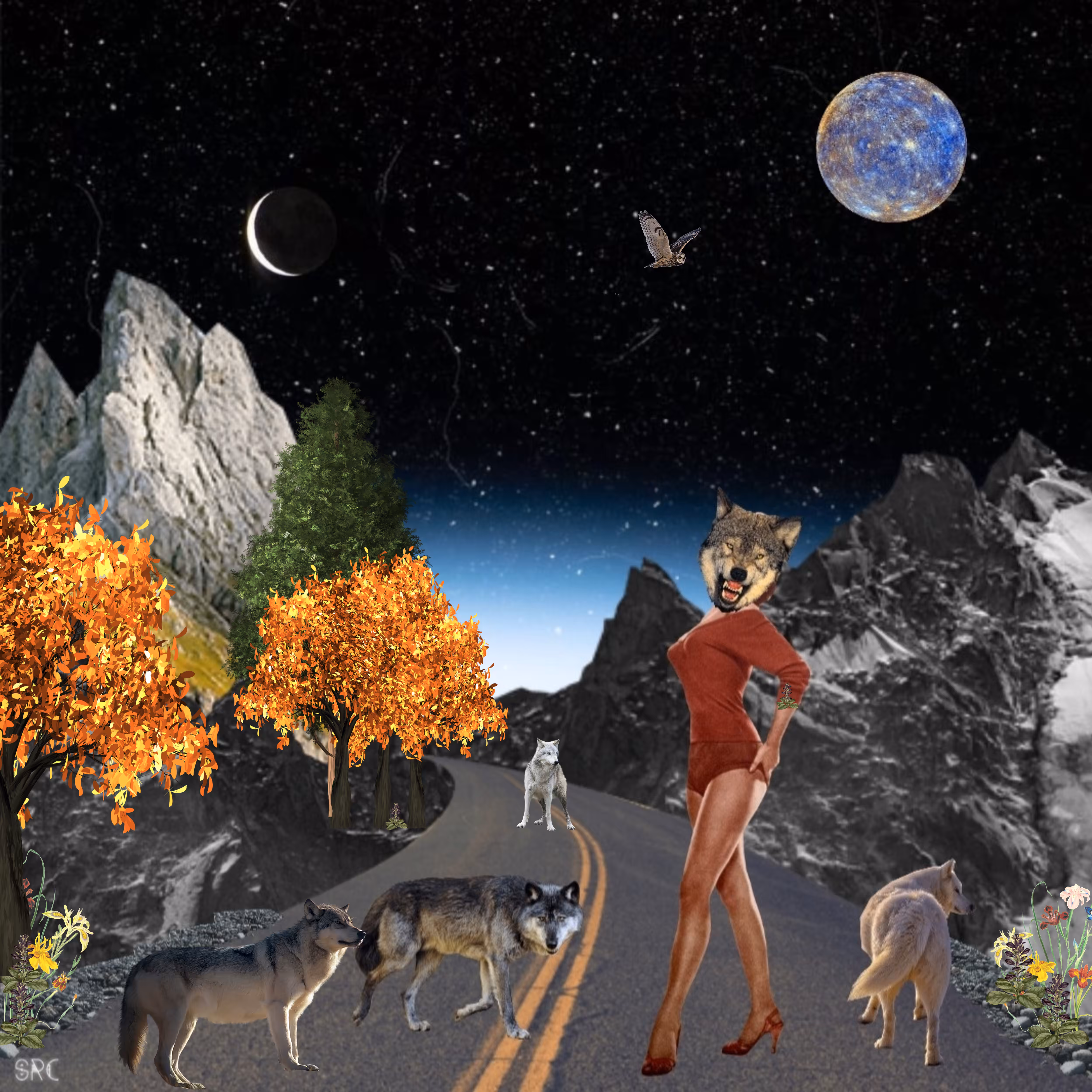 Her Wolf Pack