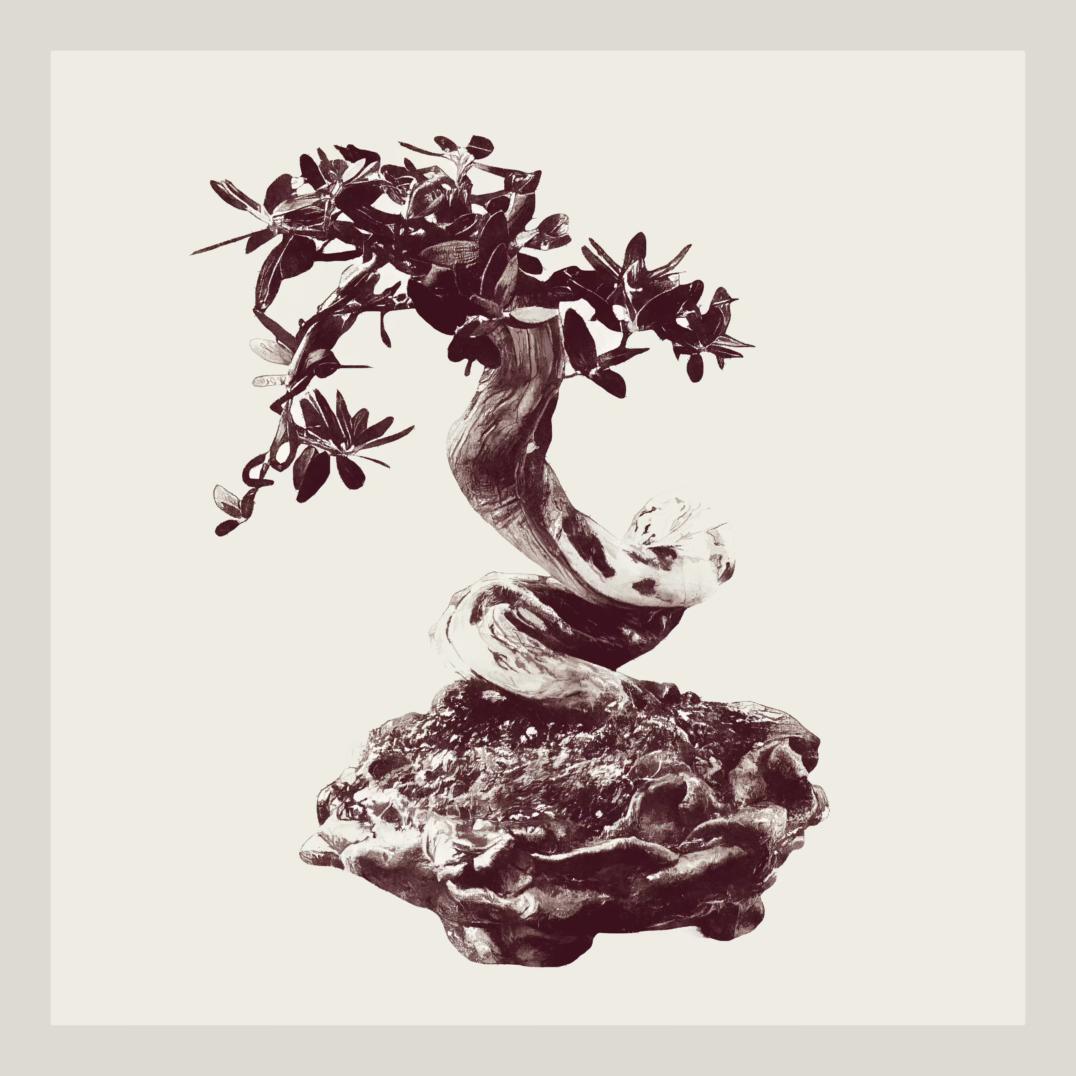 Wild Olive Bonzai generative tree