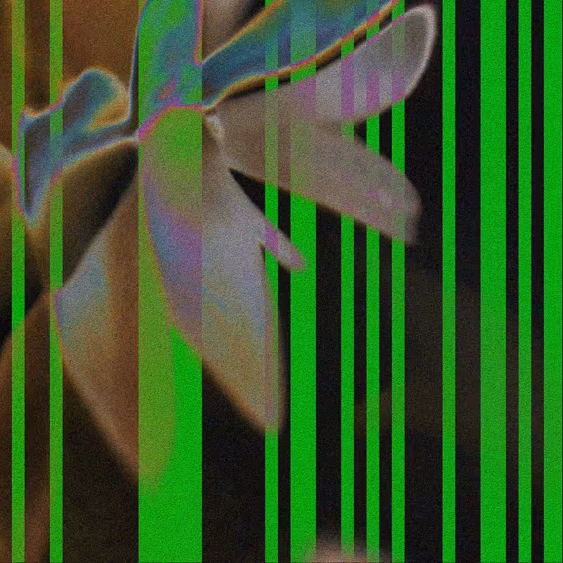 CLDCSMC #186