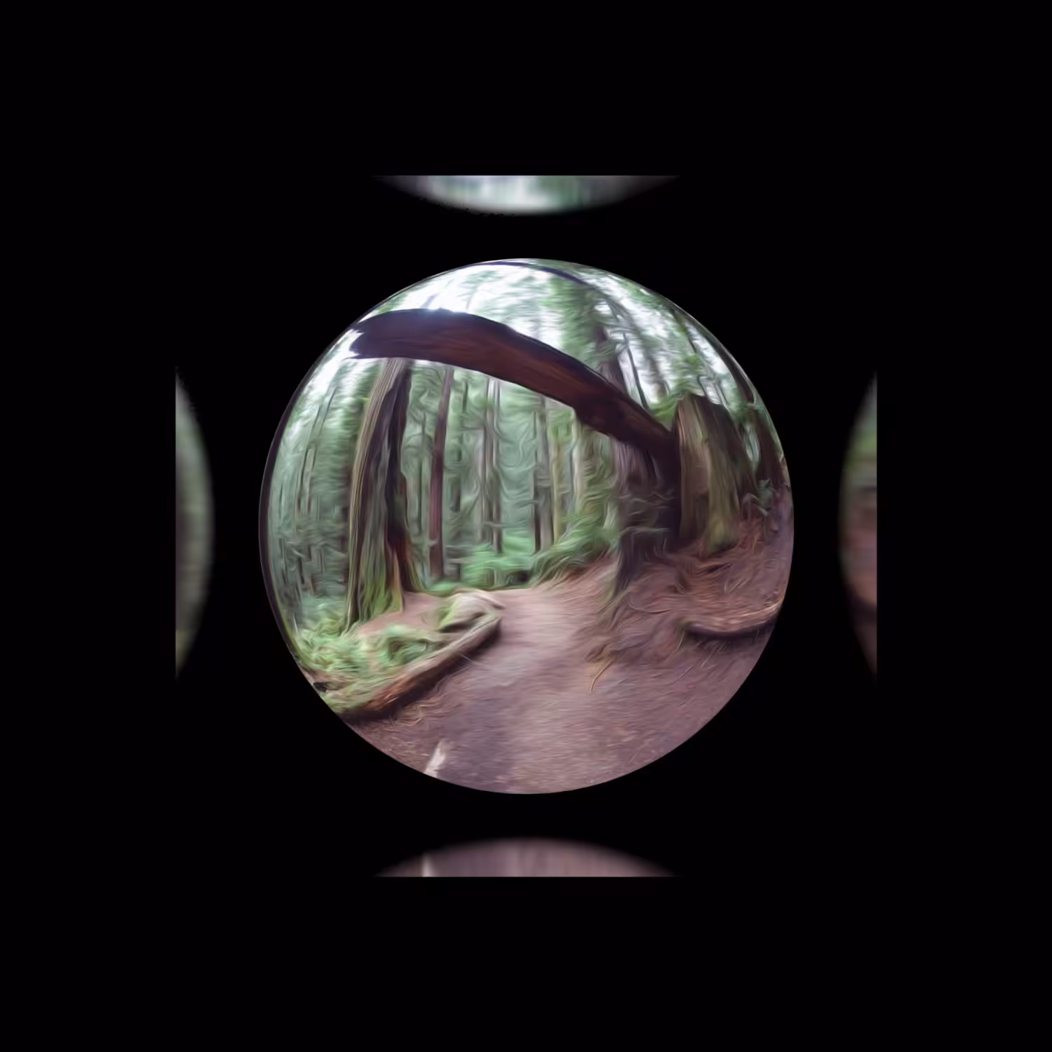 Reflectionz #14